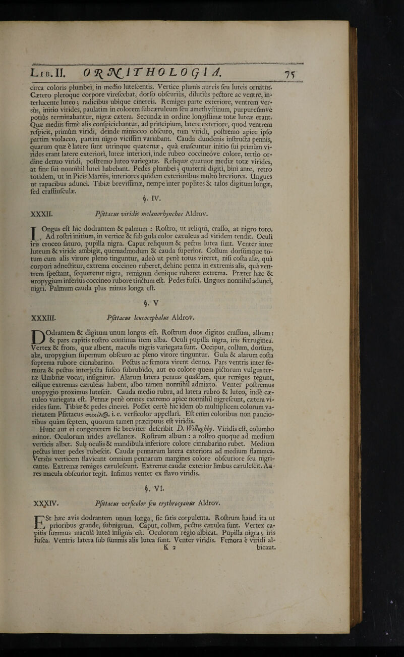 -- LiB.II. O^^CIT HO LO Q I A. ls circa coloris plumbei, in medio lutefcentis. Vertice plumis aureis feu luteis ornatus. Cetero pleroque corpore virefcebat, dorfo obfcurius, dilutius pedore ac verttrC, in¬ terlucente luteo; radicibus ubique cinereis. Remiges parte exteriore, ventrem Ver¬ sus, initio virides, paulatim in colorem fubcsruleum feu amethyftinum, purpureumve potius terminabantur, nigrae caetera. Secundae in ordine longiflims tots lutes erant. Qus mediis firme alis confpiciebantur, ad principium, latere exteriore, quod ventrem refpicit, primum viridi, deinde miniaceo obicuro, tum viridi, poftremo apice ipfo partim violaceo, partim nigro viciilim variabant. Cauda duodenis inftruda pennis, quarum qus e latere funt utrinque quaterns , qua enafcuntur initio fui primum vi¬ rides erant latere exteriori, lutes interiori, inde rubeo coccineo ve colore, tertio or¬ dine denuo viridi, poftremo luteo variegats. Reliqus quatuor medis tots virides, at fine fui nonnihil lutei habebant. Pedes plumbei; quaterni digiti, bini ante, retro totidem, ut in Picis Martiis, interiores quidem exterioribus multo breviores. Ungues ut rapacibus adunci. Tibis brevifiims, nempe inter poplites St talos digitum longs, fed craffiufculs. §. IV. XXXII. Pfittacus viridis melanorhynchos AldroV. IOngus eft hic dodrantem St palmum : Roftro, ut reliqui, craffo, at nigro toto. Ad roftri initium, in vertice St iiib gula color csruleus ad viridem tendit. Oculi iris croceo faturo, pupilla nigra. Caput reliquum St pedus lutea funt. Venter inter luteum 8t viride ambigit, quemadmodum St cauda fiiperior. Collum dorfumque to¬ tum cum alis virore pleno tinguntur, adeo ut pene totus vireret, nifi cofta ais, qua corpori adneditur, extrema coccineo ruberet, dehinc penna in extremis alis, qua ven¬ trem fpedant, fequeretur nigra, remigum denique ruberet extrema. Prster hsc St uropygium inferius coccineo rubore tindum eft. Pedes fulci. Ungues nonnihil adunci, nigri. Palmum cauda plus minus longa eft. §. V XXXIII. Pfittacus leucocephalus Aldrov. DOdrantem St digitum unum longus eft. Roftrum duos digitos craflum, album i St pars capitis roftro continua item alba. Oculi pupilla nigra, iris ferruginea. Vertex 8t frons, qus albent, maculis nigris variegata funt. Occiput, collum, dorfum, ais, uropygium fupernum obfcuro ac pleno virore tinguntur. Gula St alarum cofta (iiprema rubore cinnabarino. Pedus ac femora virent denuo. Pars ventris inter fe¬ mora 8t pedus interjeda fufeo fubrubido, aut eo colore quem pidorum vulgus ter- rs Umbris vocat, infignitur. Alarum latera pennas quafdam, qus remiges tegunt, eafque extremas csruleas habent, albo tamen nonnihil admixto. Venter poftremus uropygio proximus lutefeit. Cauda medio rubra, ad latera rubro St luteo, inde cs- ruleo variegata eft. Penns pene omnes extremo apice nonnihil nigrefeunt, cstera vi¬ rides funt. Tibis St pedes cinerei. PofTet certe hic idem ob multiplicem colorum va¬ rietatem Pfittacus 'ητι/κ/λ©. i- e. verficolor appellari. Eft ertim coloribus non paucio¬ ribus quam feptem, quorum tamen prscipuus eft viridis. Hunc aut ei congenerem fic breviter deferibit D. Willughby. Viridis eft, columbo minor. Oculorum irides avellanes. Roftrum album : a roftro quoque ad medium verticis albet. Sub oculis St mandibula inferiore colore cinnabarino rubet. Medium pedus inter pedes rubefeit. Cauds pennarum latera exteriora ad medium flammea. Versus verticem flavicant omnium pennarum margines colore obfcuriore feu nigri¬ cante. Extrems remiges csrulefcunt. Extrems cauds exterior limbus csrulefcit. Au * res macula obfcurior tegit. Infimus venter ex flavo viridis, §. VI. XXXIV. Pfittacus verficolor feu erythrocyanUs Aldrov. F-'St hsc avis dodrantem unum longa, fic fatis corpulenta. Roftrum haud ita ut f prioribus grande, fubnigrum. Caput, collum, pedus csrulea fimt. Vertex ca¬ pitis fummus macula lutea infignis eft. Oculorum regio albicat. Pupilla nigra; iris fufea. Ventris latera fub fummis alis lutea funt. Venter viridis. Femora e viridi al¬