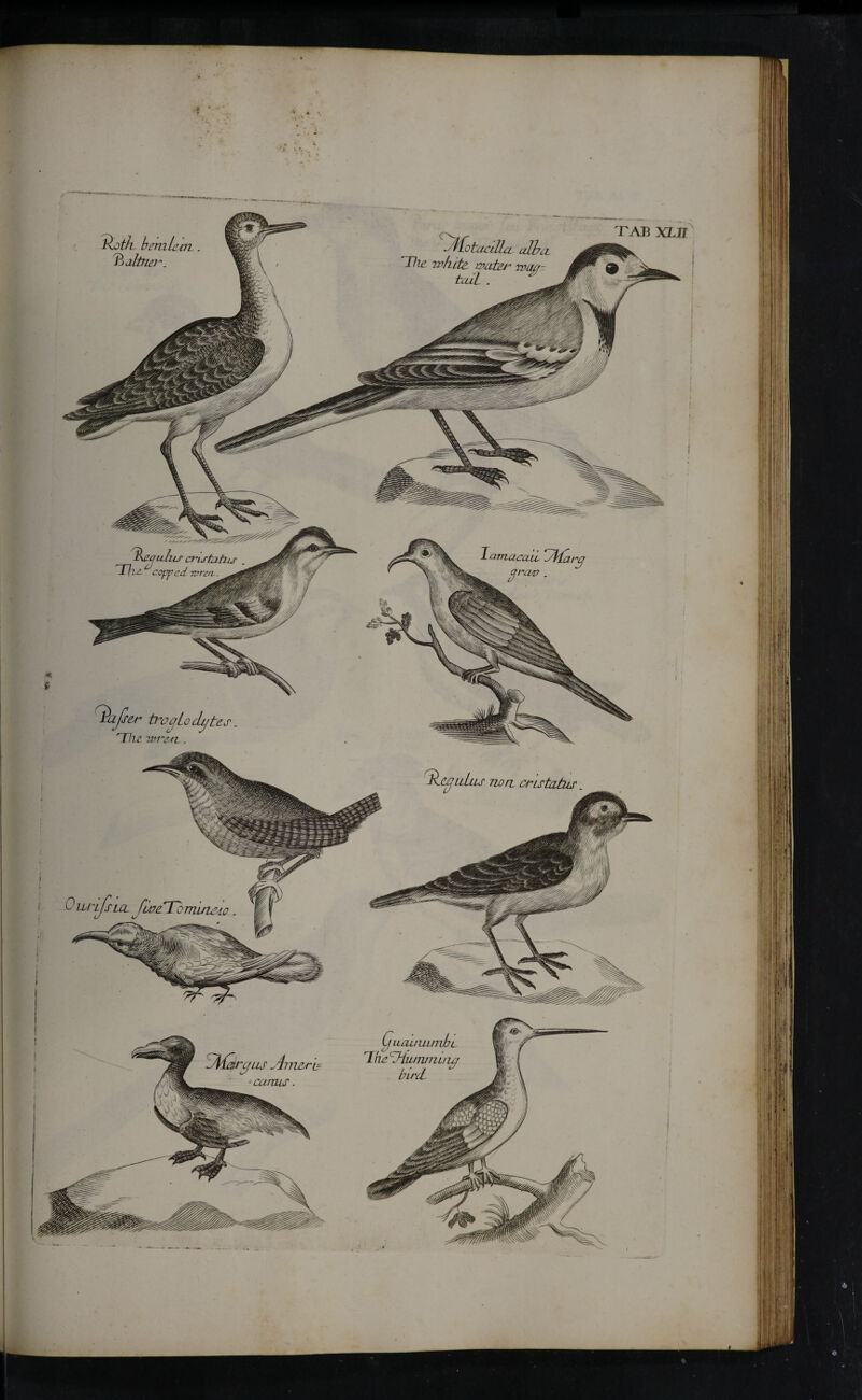 tlot/i bemU ^altrici''. The refute mitet Tkcqulus c ^Τ}τε°copped note ert status Q mine to LfuauumibL Ίηό THunwiuuf canus