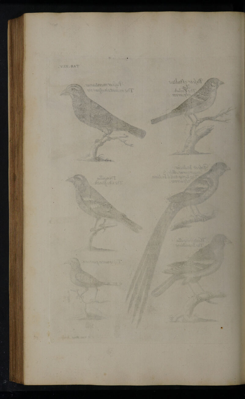 ■ ,· . aA'r is,. -r. * - λ . ·*·Λ\ν. sv ··'■. t -i ' γλίΛά ·. · \ y,'' \ ,Λ i\u'.. . ■ ;· · :rtro \\s & . · '. —· -· V . > ■'■■λ: '· ?·Γ '-ν' V.- ·'; 'V· ·»·* ' · » *·. - I : ~ U,v·, ' · ' ■ '·■'-· · .-■■■·■ λ· . 5' · ~ ;.π; ,- ■ V » ! ■ ^ * · . I- !-.;v . f· ■ ν~· V ■ vv w.5n '■ ■· . v'v,. : ' A: u \\ . \1» \V. · ... ·. '„:··. -· ·· * 'i ir ·· » ·> ■ ^ ^ .. . i ' • ■ v .. 1 . .... •. . ;TET ■- ·· / “ ' ‘i ,· > ■ ' - ■: V . ·· iv- . ■■ * ' • ■ • , /,·;./ : ' .·· · . /.· -·. i ···· ·''·/' .. -r ·>· ■ · ·:. .'.·· f' ■y - ■ i • ·· · ■ iv‘.