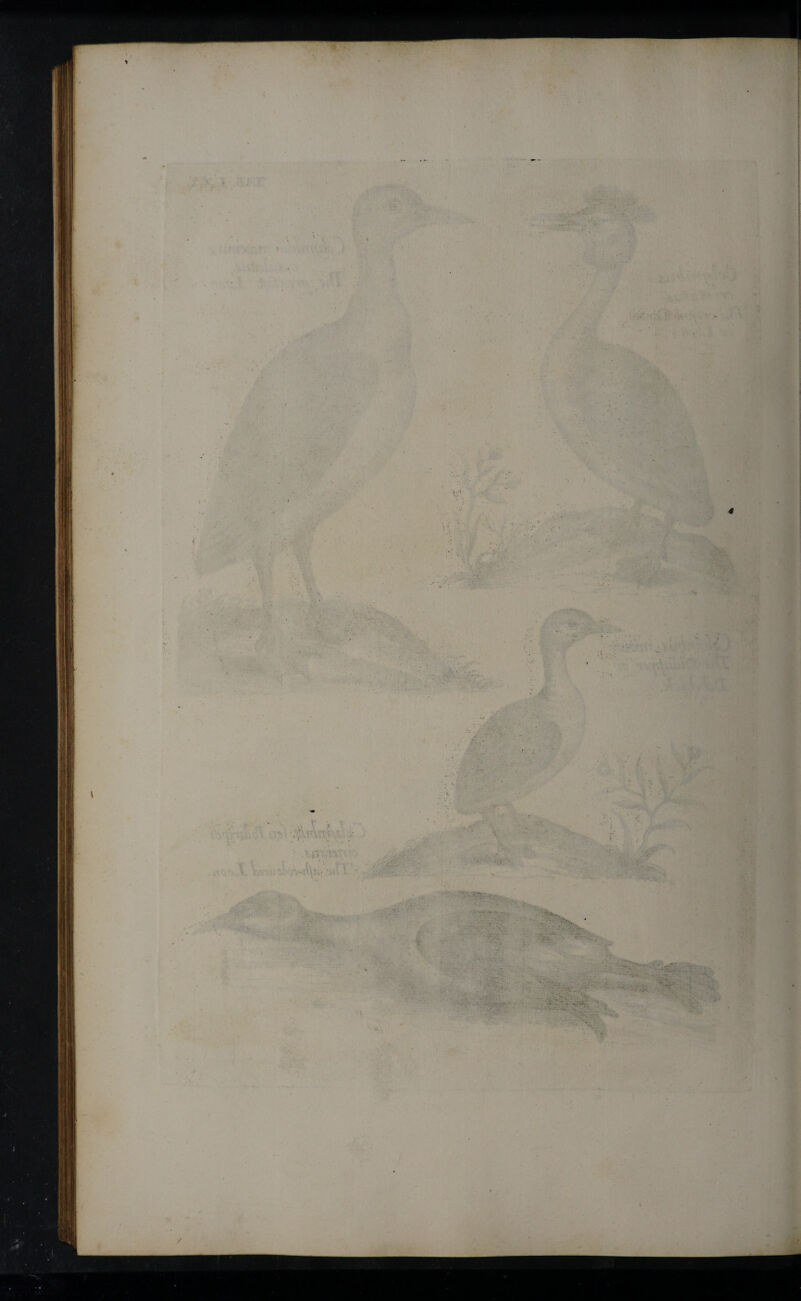 I if ■ % ' •v~ ► . - ■ \»T ■: i. . 4r r,\ iv ■ 'V· . - > * > ) . /.V. . t .* ■ > -?· ’« I 5 · . ' < ■ v \ I ·/·. vk. . . . ... ·■'·.. - ■i’...- . ■ , - ' ' rr - ■···· . . v-1 { <■· ; · ' . «;·, \ i'Λ _ •'TV. . . . - / .v r.yb . -ή ■ - -·■*- ■ sH ■: .· -y ■ . . . ; V \ '· ■ ·.·· , ■... . - ... ^ . V · · 'X . ' . ' ' . -ί: ■ - i · ·.'· - :· ... t '.'i . * > ' I