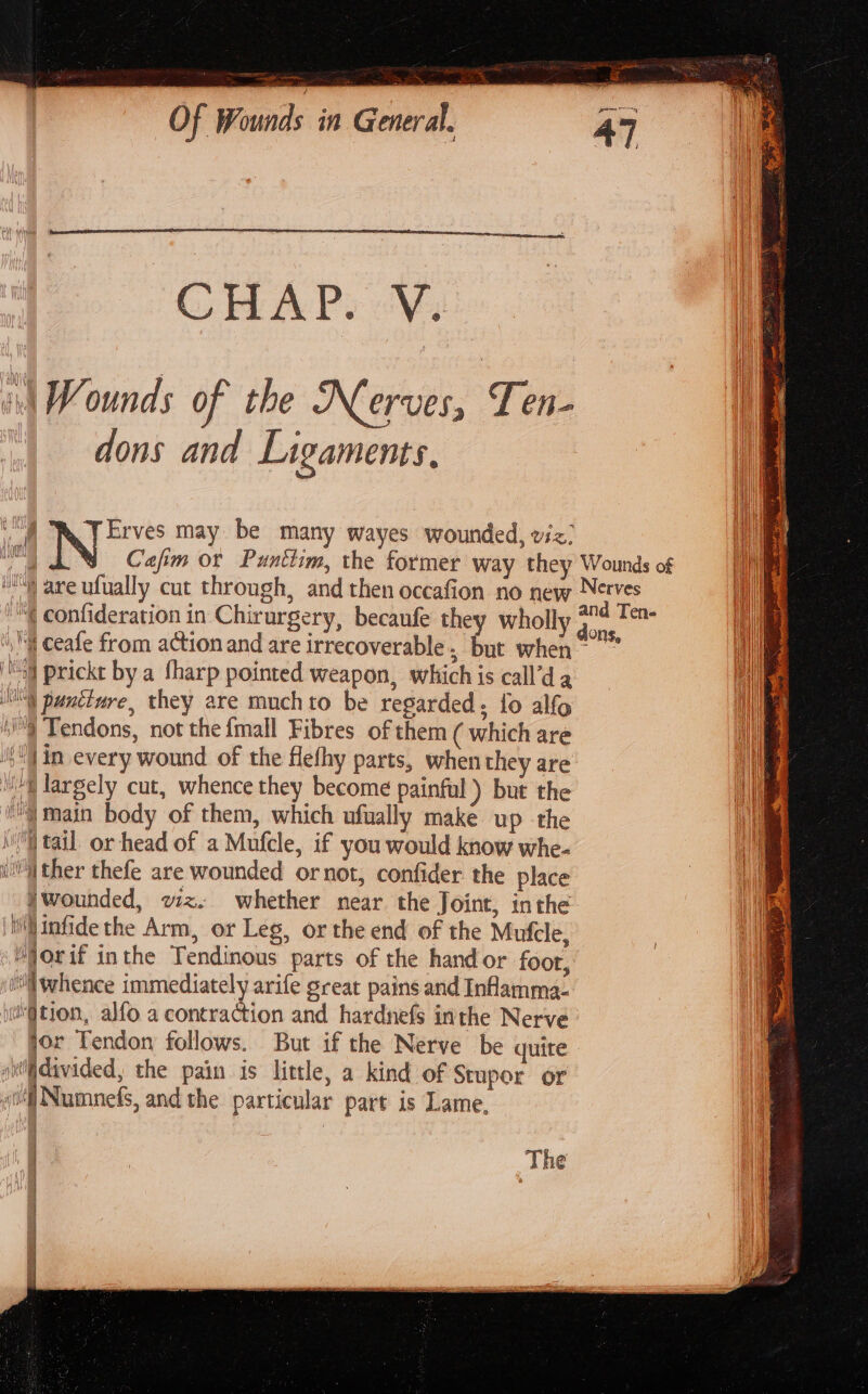 POP GAYE CHAP. My: 1 i Wounds of the Nerves, Tis dons and Ligaments. fa | Erves may be many wayes wounded, viz, i Cafim or Punttim, the former way they Wounds of (| “are ufually cut through, and then occafion no new Nerves i '™( confideration in Chirurgery, becaufe they wholl eras .'q ceafe from action and are irrecoverable , bat when” ~ i Moy prickt by a fharp pointed weapon, which is call’da al WI panciure, they are muchto be regarded; {o alfo | @ Tendons, not the {mall Fibres of them ( which are if in every wound of the flefhy parts, when they are a 2 i largely cut, whence they become painful) but the mn My main body of them, which ufually make up -the i \ tail or head of a Mufcle, if you would know whe- il” ther thefe are wounded ornot, confider the place ywounded, oz. whether near the Joint, inthe tilinfide the Arm, or Leg, or the end of the Mufcle, | vis \Worif inthe Tendinous parts of the hand or foot, i whence immediately arife great pains and Infamma- | ution, alfo a contraction and hardnefs inthe Nerve lor Tendon follows. But if the Nerve be quite siidivided, the pain is little, a kind of Stupor or «it Numnefs, and the particular part is Lame, The