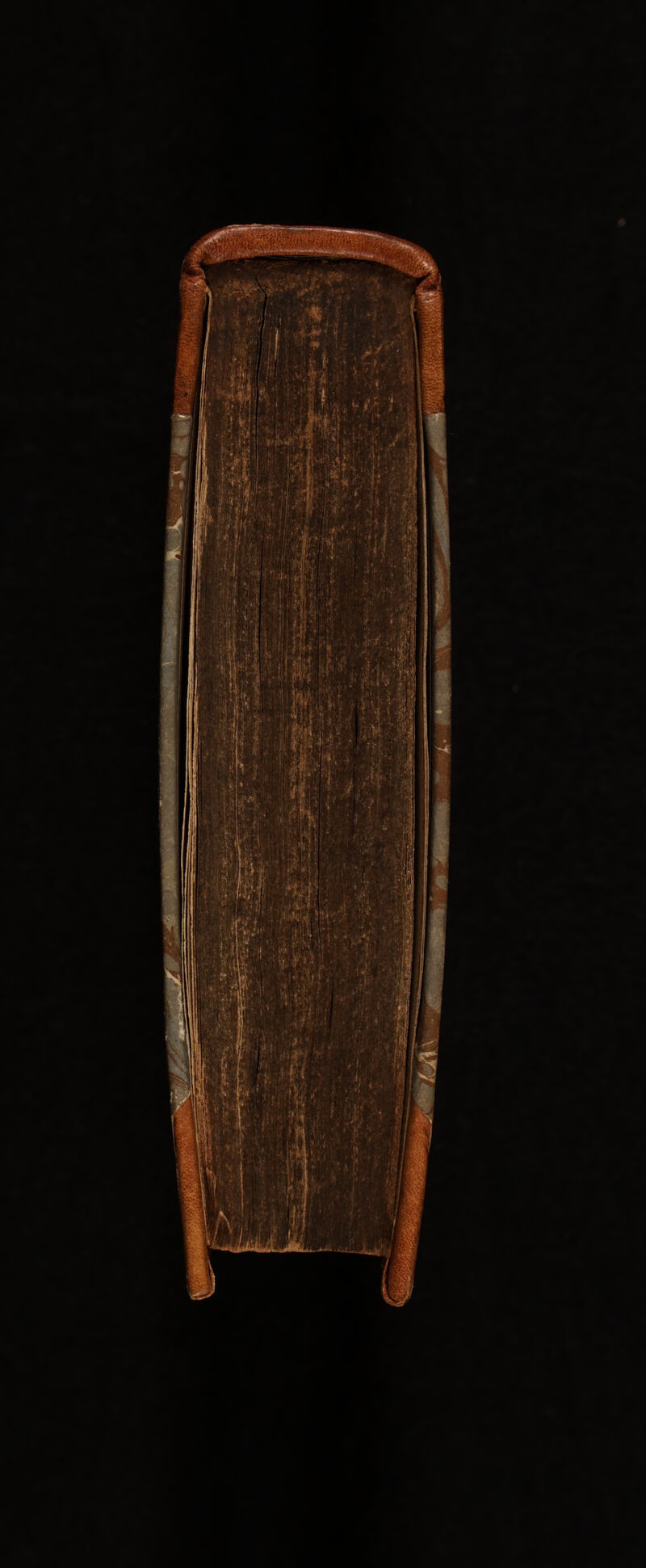 No text description is available for this image