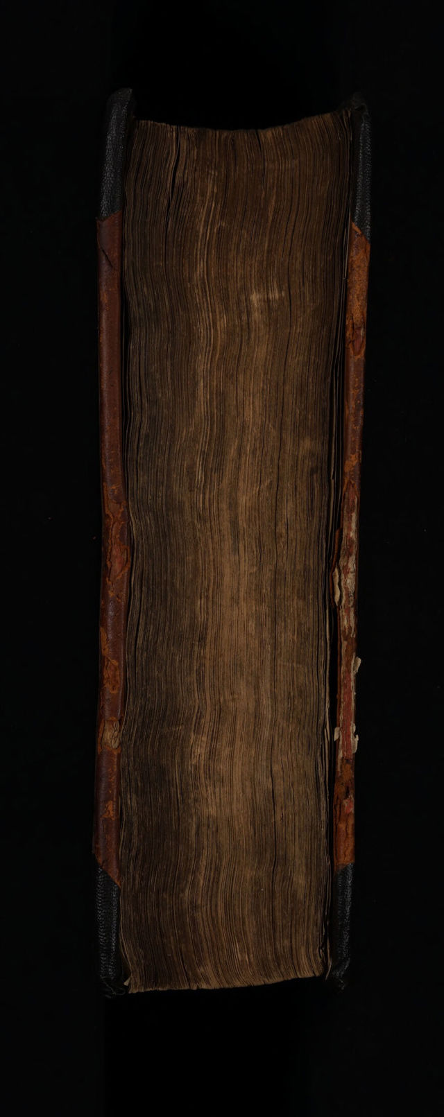 digitised image 3