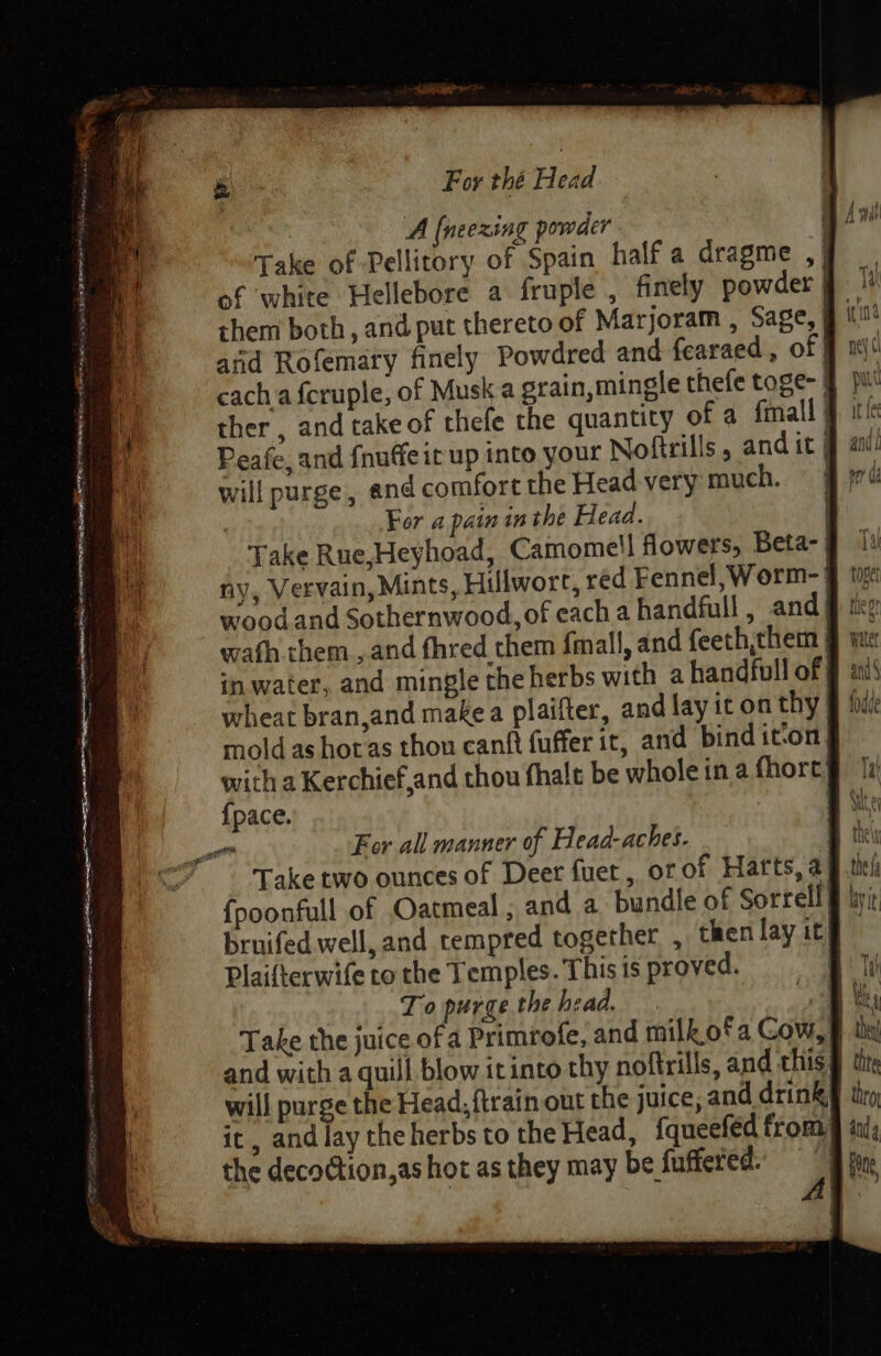 For thé Head A [neexing powder . Take of Pellitory of Spain half a dragme ,| of white Hellebore a fruple , finely powder § them both, and put thereto of Marjoram , Sage, | it atid Rofemary finely Powdred and fearaed , of | cacha fcruple, of Musk a grain,mingle thefe toge- | ther, and take of thefe the quantity of a fimall } Peafe, and fnuffeit up into your Nofirills , and it | will purge, and comfort the Head very much. , For a pain in the Head. Take Rue,Heyhoad, Camome'l flowers, Beta- | ny, Vervain, Mints, Hillwort, red Fennel, Worm-§ wood and Sothernwood, of each a handfull, and) wath them , and fhred chem fmall, and feeth,them in water, and mingle the herbs with a handfull of | Sy RRSON ER TRON OB een ee : ee CFR tie See wheat bran,and make a plaifter, and layiton thy | mold as horas thon canft fuffer it, and bind it-on) with a Kerchief,and thou fhalt be whole ina fhort} {pace. : a For all manner of Head-aches. : Take two ounces of Deer fuet, or of Harts, a fpoonfull of Oatmeal , and a bundle of Sorrell) bruifed well, and tempred together , then lay it: Plaifterwife to the Temples. This is proved. | To purge the head. ‘4 Take the juice of a Primrofe, and milk.ofa Gow, and with a quill blow it into thy noftrills, and this, will purge the Head, {train out the juice, and drink# thro it, and lay the herbs to the Head, {queeféd from § tnd, the decoction, as hot as they may be fuffered. i Bie,