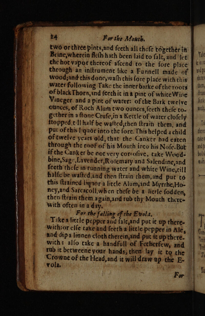 _ Sore? j § “ge ; A ; 24 ~ For the Afonth, | two orthtée pints,and feeth all chefe togethér ia § Brine,wherein fleth hath been laid to fait, and tet F Ww che hot vapor theteof afcend to the fore place en through an initrumenc like a Fannell made of | 0! Wood;ané chisdone,wath chis {ore place wich chis: § water following Take the inner barke of the roots | Mi of blackThora,ind feechic in a pint of whiteWine Le Vineger. and a pint of water: of the Bark twelve gtk ounces, of Roch Alura two ounces, feech thefe to- Ml gether in a ftone Crufe,in a Kettle of water clofely : ftopped.tll half be watted,then {trait them, and oa put of this liquor inco the fore. This helped a child ptr Of twelve years old, that the Canker had eaten pp tit! through the roof of his Mouth into his Nofe.But y indp if che Canker be oor very corvofive, take Woed- fdlh bine,Sag~,Lavender,Rotematy and Salendineand |) wl feeth thefe in'running water and white Wine,rill halfe'be wafted,and then {train them,and purto 4 this ftraimed liquor a litcle Alum,and Myrrhe,Ho- ney,and Sarcacoll,when chefe be a licrle fodden, — then ftrain them again,and rub thy Mouth there= with often in a day, | For the falling 7 the Evol. | il Tikeatiecle pepper and falc,and put i up there- | with:or elle cakeand feeth a little Pepper in Ale, ial Cun and dipa linnen cloth cherein,and pur it upthere. | ve with: alfo cake a handfull of Fethetfew, and Tet _ rub it betweene your hands, them lay ic to the Th | Crowne of the Head,and ic will draw up the E- | vola, t. ti if hy For Dea