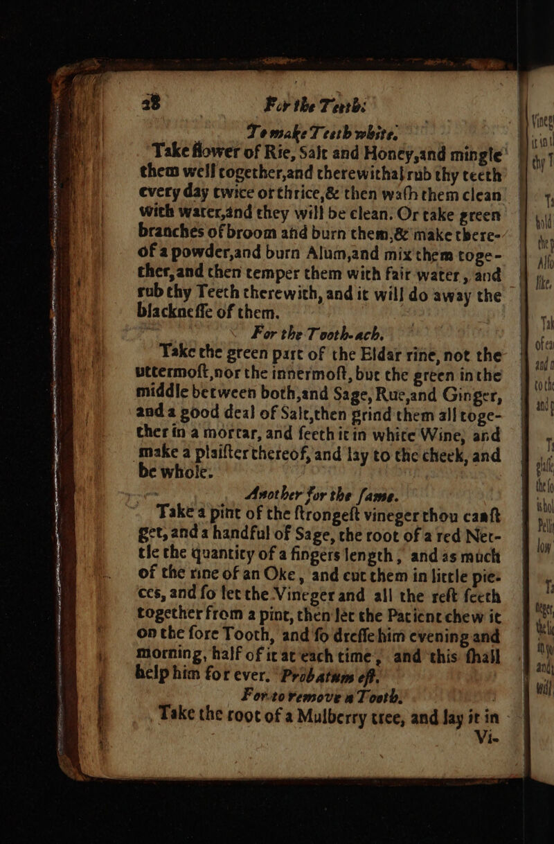 —— cece eh POA Sat af Sl = a&gt; : : — . ; | Te make T ceth white, 2 Take flower of Rie, Salt and Honcy,and mingle’ | them well cogether,and therewithabrub thy teeth’ | every day twice orthrice,&amp; then wath them clean with water,ind they will be clean. Or take green branches of broom atid burn them)&amp; make tbere- of a powder,and burn Alum,and mix'them toge- ther, and chen temper them with fair water, and rub chy Teeth therewith, and it will do away the blackne ffe of them. vp Ri For the Tvoth- ach, Take the green part of the Eldar rine, not the wttermoft nor the innermoft, bur the green inthe middle between both,and Sage, Rue,and Ginger, and a good deal of Salt,then prind them all toge- ther in a mortar, and feethicin white Wine; and be whole. Another for the fame. Take a pint of the ftrongeft vineger thou caaft get, and a handful of Sage, the root of a red Net- tle the quanticy of a fingers length, and as much of the rine of an Oke, and cut them in little pie- ces, and fo let the Vineger and all the reft feeth together from a pint, then Jéc the Pacient chew it on the fore Tooth, and fo drefle him evening and morning, half of ix at ‘each time, and ‘this thail help him for ever. ‘Prabatum eff. For.to remove aT ooth. | Take the root of a Mulberry tree, and Jay _ lo