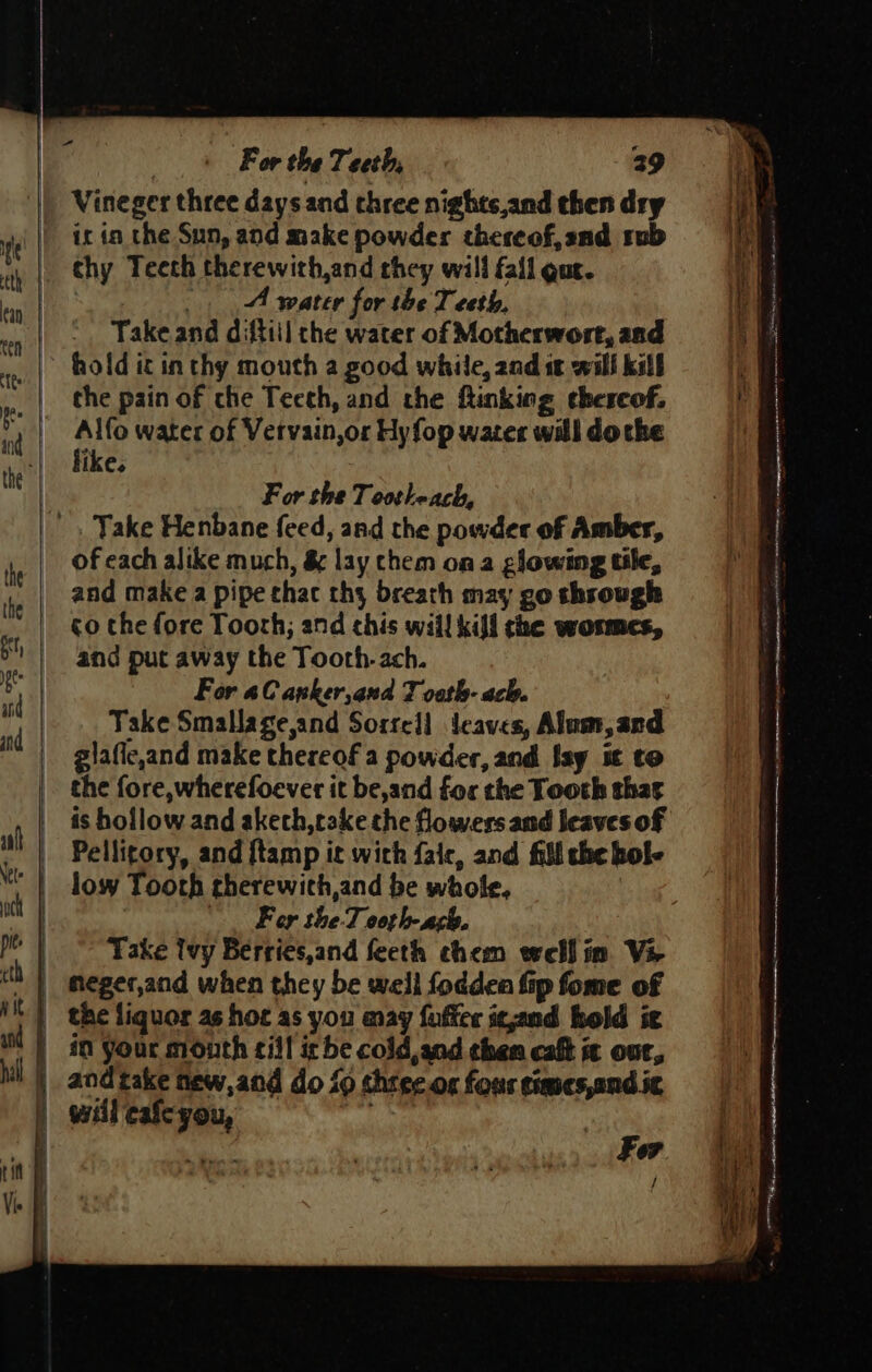 Vineger three days and three nights,and then dry it in the Sun, and make powder thereof, and rub chy Teeth therewith,and they will fail gut. A water for the Teeth. Takeand diftiil che water of Motherwort, and hold it in thy mouth a good while, and it will kill the pain of che Teeth, and the finking thereof. like. For the Tootheach, _ Take Henbane feed, and the powder of Amber, of each alike much, &amp; lay chem ona glowing tile, and make a pipe thac th; breath may go shrough and put away the Tooth. ach. For aC anker,and J cath- ach. Take Smallage,and Sorrell deaves, Alum, and glaficand make thereof a powder, and [sy it to is hollow.and akech,rake the flowers and leaves of Fer the-T coth-ach, Take Ivy Berries,and feeth chem well in. Vi and take new,and do fo chee or fous eeceenes