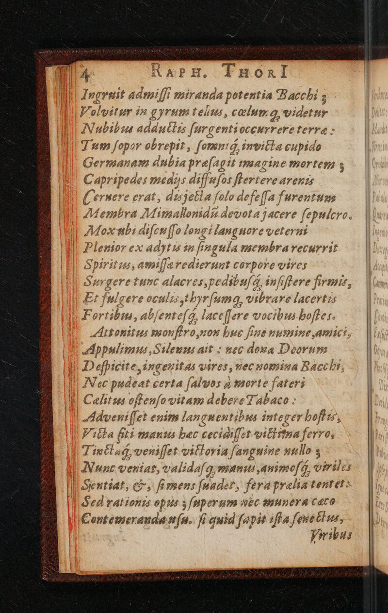 Ingrmit adrniffi miranda potentia Bacchi ; Volvitur in gyrum telius, calum a, vd INubibus addutlis furgentioccurrere ind 4: 7 um fopor obrepit , fomuó, mita cupido Germanam dnbia pre[agit tmagine mortem ; Capripedes sedis diffwfos flerteve arent (ernere erat, dzsjetla folo defe[[a furentum Ate mbra Mimallonidg devota jacere | fepuicro. Mo: eni &amp;ifc: nf long p languor c veteri Plenior ex adytis in fingula membravecurvit Spiritu asi avedierunt Cevpore vires geretunc alacves,ped libuf 4, infiflere firmis, Et fulgere oculi; jt byr fuma, vibrare lacertis Fortibin, abJentef o, laceffere vocibus bofles. vAttonitus voonflroyzon bue fine nussine amici, ppulimus Sileuu: ait : nec dova Deorum D efpicite, ingeritas uires, uecuomiua B Daccbs, IN ec pudeat certa f[alvos 4 morte fateri —— Celitus oftenfo vitam debereT. Abaco : Adveviffet enim Janguentibsts integer rief Viila (iti manus bec cecidiffet viti toa ferro T intlag veniffet vitloria fanguine nullo s Nunc veniat, validafg, pmi auispo[s FONTES Sientiat, c, fimens [nadet, fera prahia tentet: ded rations opta s /mperum wec munera caco Contemerauda t(u.: fi quid fapit iffa fenetl us, peribus