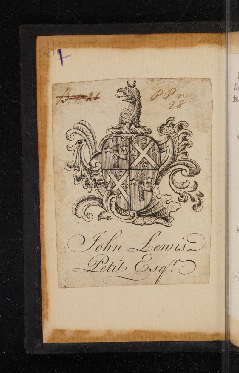 Mi \y fed Wy YEU mY: | Aw Cs 7S tye See |