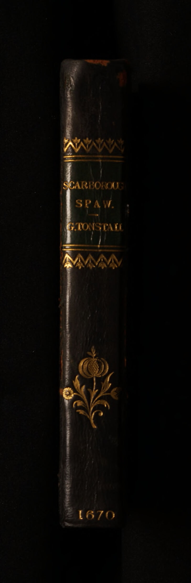 No text description is available for this image