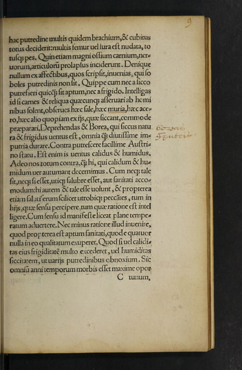 nr1 ll r r y I r ' hacputredine multis quidembrachium,8<: cubitus torus dcciderinmultis temur uel iura ell nudata, to tufqj pes. Quin etiam magni offium carnium,ncr* uorum,articuloru prolapius inciderunt • Dcnic|uc nullum ex affe<flibus,quos lcripfit,inuenias, qui fo boles putredinis non lit. Quippe cum nec a ficco putrefied quiccp ficaptum,nec afrigido. Intelligas id fi cames & rcliqua quarcuncp alleruari ab hcmi nibus folent,oblerucs hccc fale,ha:c muria,h£tc ace? ro.ha-c alio quopiam ex rjs,qutc ficcant,ccmmode praeparari.Dcprehendas & J3orea5 qui ficcus natu £ ra OC frigidus ucntus eft, omnia cp diutiffime im? 4',' , putria durare.Contra putrefeere facillime Aullri? no ilatu. Ell enim is uentus calidus & humidus. Adeo nos totum contra,cp hi, qui calidum & hu? midum uer autumant dccern/mus«Cum ncqj tale fit,necp fi efiequtiq, falubre elTet, aut lanitati acco? modum:hi autem & tale efle uolunt, & propterea etiam lalati erum Icilicet utrobicp peccates, turn in hrjs ,quce lenfu pcrcipere,tum qua’ ratione ell intel ligere.Cum fenfu id manifefteliceat plane tempe? ratum aduertere.Nec minus ratione illud inuenire, quod prop terea ell aptum fanitati,quod e quatucr nulla in eo qualitatum exuperet.Quod fi uel calic'i? taseiusfrigiditatemulco excederet,uel humicb'tas ficcitatem, ut uarrjs putredinibus cbnoxium. Sic omniu anni temporum morbis eflet maxime opor- C tunum.