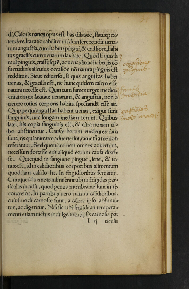 diiCaloris nancp opus eft lias dilatare .flatucp ex# tendere.Ita rationabiliter in idem foe reddit uena# rum anguftia,cunri habitu pingui,& crafliorejhabi tus gracilis cum uenarum laxitate. Quod fi quis li ? mulpinguis,cralKil^e,acuenas!axashabct,isc6 # luetudinis alicuius occalioe nonaturapinguiseft . • redditus ♦ Sicut ediuerlo, fi quis! atiguftas habet uenas, &C gracilis eft, nc huncquidem talem efle natura necefie eft. Quin cum fames urget medio# i . critatemex laxitate uenarum,& anouftia,non a 7*-<r> cactcro totius corporis habitu Ipeftanda efle ait. Quippequianguftas habent uenas ,cxigui limt fenguinis, nee longam inediam ferunt. Quibus n  ' late, his copia fanguinis eft,& citra noxam a# bo abftinentur. Caufe horum euidentes iam lunt, rjs qui animum aduerterint,tamctfi a me non teferantur.Sedquoniam non omnes aduertunt, need]um fortafle erit aliquid ecrum caula dixif* fee, Quicquid in fenguine pingue ,Iene, & te# nuc dl, id in calidioribus corporibus alimentum quoddam calido fit. In frigidioribus fouatur. C unque id uena;tran(Iui(erint ubi in frigidas par# ticuJas incidit, quod genus membranai limt in i]s concrefdt.In partibus uero natura calidioribus, cuiufmodi carnofeae Hint, a calorc ip lb abfumi# nir,acdigeritur,Nifilic ubi frigiditati tempera# menti etiam nidus indulgentior,ipfis carnofis par l vj ticulis