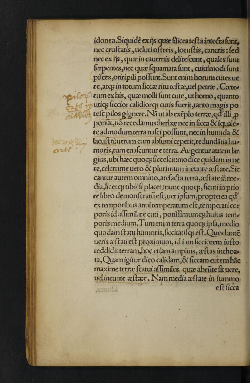 idonea.Siquide cx i js quae filicea tefta intcdta font, nec cruftatis, ucluti oftreis, locuftis, cancris: fed nec ex rjs, qua: in cauemis delitefcunt, qualcs font fdpentes,nec qua? fquamata funt, cuiufmodi funt pifces,oriripili ponTunt.Sunt enim horum cutes ue re,acq? in totum ficca’ritu tcfta?,uel petra?. Cate* rum ex his, qua? molli funt cute, ut homo, quanto ucicp ficcior calidiorcp cuus fueric,tantomagis po tell pilos gignere.Na ut ab exeplo terra?,qcrilli pohuc,no recedamusrherba? nec in ficca &C (quale* te admodum terra nafci poffunt, nec in Iiumida 8C facuftriaterum cum abfumi ceperit,redundatia 1 ai* moris,tum enafcuntur e terra. Augcntur autem lar gius,ubi ha?c quocp ficcefdttmodice quidem in ue re,celerrime uero & plurimum ineunte a?ftate«Sic cantur autem omnino,arefa<fla tctra,aftate ia me# diajicctcp tibi (fi placet )nunc quocp, ficutiin prio relibro demonftratu eft,ucr ipfum,propterea qcP ex temporibus anni temperatum eft,temperati ccr ports id afltmilare cuti, potiflimumq; huius tern# port’s medium.Tum enim terra quoq? ipfa,rnedio quodatn ftatu humoris,{iccitatifcp eft. Quod ante ueris arftati eft proximunt, id i un ficciorem iufto reddidit terram,hoc ctiam amplius, a?ftas inchoa* ta,Quam igitur dico cal id am, & ficcam cutemhac maxime terra- ftatui aflimiles qua? abeute fit uere, ud ineunte teftare, Nam media a?ftate in fummo < ' 1 eft ficca i