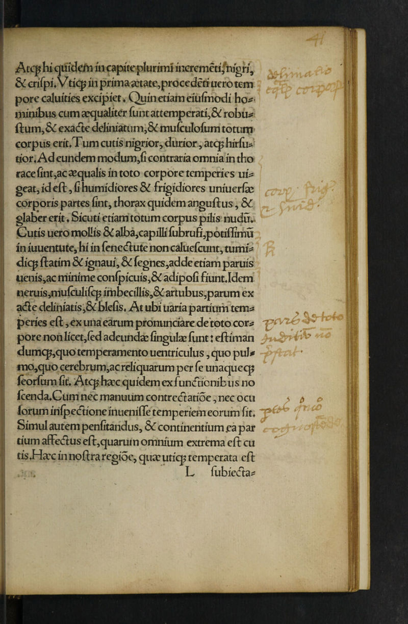 ?v- & erifpi. V tiqj in prima a:tate,proccdcti ucro tcm pore caluities excipiet. Quin etiam eiufinodi ho* minibus cum sequaliter funtattempcrati,& robu* cxacte deliniatum,& mufculofum totum corpus erit.T um cutis nigrior, durior, atq; hirfu* tior. Ad eundem modum,fi contraria omnia in tho race fint,acxqualis in toto corpore tcmpcries ui* geat, id eft, G humidiores & frigidiores uniuerfic corporis partes fint, thorax quidem anguftus, & glaber erit, Sicuti etiam totum corpus pilis nudu.. Cutis uero mollis & alba,capilli fubrufi,potiffimu in iuuentute, hi in fenedute non caluelcunt, tumi* dicp ftatim & ignaui, & fegnes,adde etiam parufs uenis,ac minime con(picuis,& adipofi fiunt .Idem neruis,mufcufifq; imbecillis,& artubus,parum ex ade deliniatis,& blefis, At ubi uaria partium tern* peries eft, ex una earum pronunciare de tpto cors -gtfVtp _ pore non fi'cet,{ed adeundae lingula: funt: eftiman 4? > i dumqj,quo temperamento uentriculus, quo pul* mo,quo cerebrum,acreliquarum per fe unaqucq; leorfum fit. Atq? hive quidem ex fundionibus no lcenda.Cum nec manuum oontredarioe,nee ocu - $ c, loruminlpedioneinuenifletemperiemeorumfit. r !f. Simul autem penfitandus, & continentium .ea par tium affedus eft,quarui n omnium extrema eft cu tis.Hax in noftra regioe, qua: utiq? temperata eft L liibieda* . .