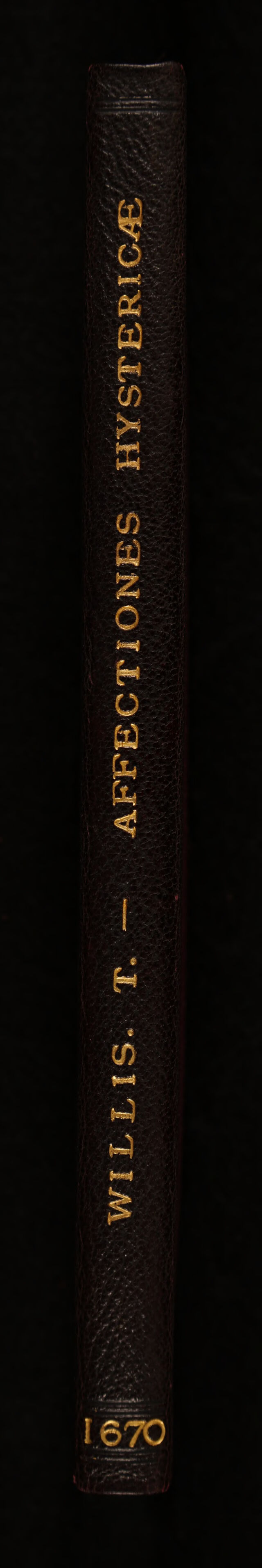 digitised image 2