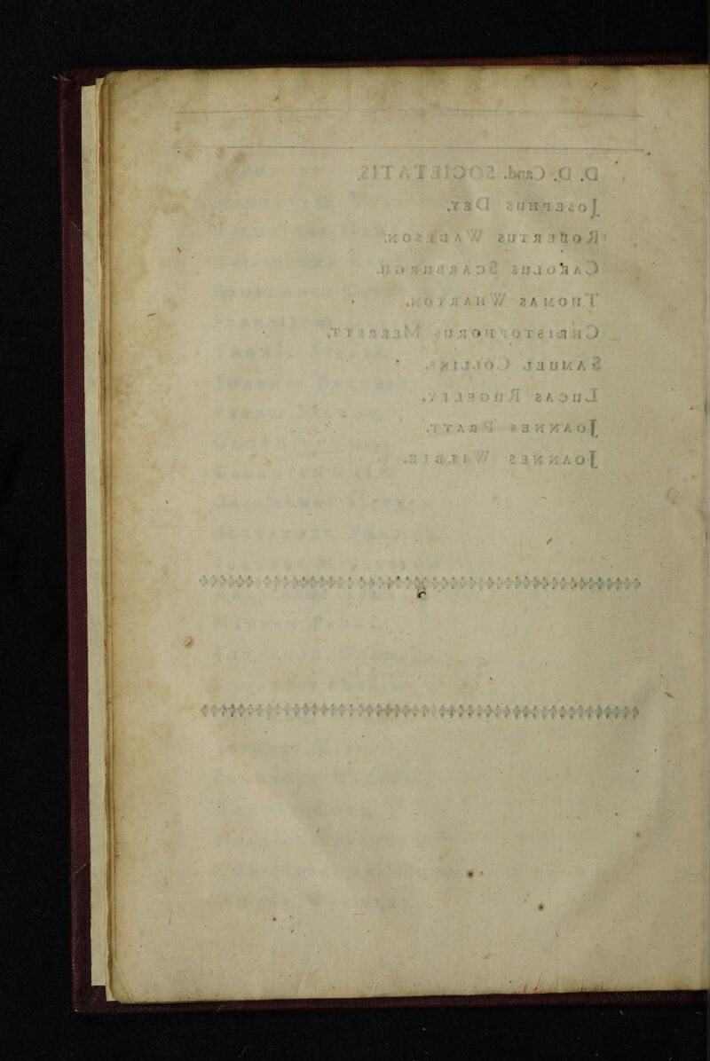 .Vi 02:1 a A 'W ^ ur n 1 fio J! .K IMIJ? A D i! aiiJO^A^ ;r T ! 5! ;i a a o h 'i 0 r e ii J . ^ I a jo ^) j a u u A K .. 1 a H o ir ^ 2 A 0 jj J /ITAJI 1 ^aH>lAo| / laai, eaKKAO‘|^ ■yi iji. i < ♦ # V 9 > ■■ . * ‘V *• »* •* a- •?. JL ^ ' 4 •k ' A .1 « • *. • « 'a *. • ♦ »* # « * , V ^i-v V4> rrftrr. 4 J’ >