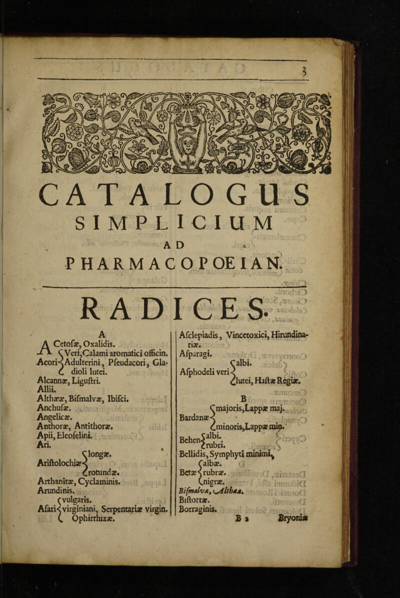 Afclepiadis, Vincetoxici, Hirundina- ACetofse, Oxalidis. C Veri,Calami aromatici officin AcorKAdulterini, PfcudacOri, Gla C dioli lutei. t Alcanna?, Lkuftri. Allii. Althajse, Bifmalvse, Ibifci. r ( Anchufe. ,* ^ ^ r, Angelica?. , Anthora?, Antithora?. Apii, Elcofclini. / v' aragi Afphodeli veri iutei,Hafta?Regur. majoris,Lapp« maj • • minoris,Lappse mip. Bardanae Bchen^ rubri. ^ ^ ^ Bellidis, Symphyct mlmmL Ca\bx. i Bctse^rubra?. ;, ^ Cnisra:. - BifmAlvs, • Biftorca?. Borraginis. Ariftolochia?< . crotunda?. Arthanita?, Cyclaminis. ’ Arundinis. ; r vulgaris. Afari<virginiani, Serpentariap Virgin, C Qphirrhizae. firyonia