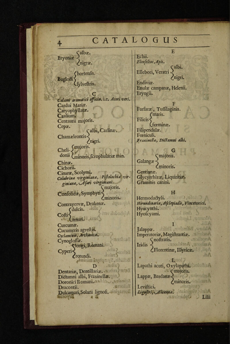 cr Calbse. Bryoni^'< , 'cnigr«. V i hortenfis. fylveftris. u ' Cdlami aromdticl offidn, i.e. Acori veri. Cardui Mariae. _ Caryophylla^ae. Caulium. ‘ . Centaurii majoris. Cepae. r albi, Carlinae,, Chameeleontis< donii ^minorisjfcrop Chinae. Cichorii. Cinarae, Scolymi. . Colubrijfd virgiftidjidf Fijtolochid^ vtr- virginiani,..j C majoris. , ConfolidaijSymphytiK Cminoris. Contrayervae, Draken^. Cdulcis. ' Cofti- ^ ■ i. ' ' jfcrophulariae ihin. Cdulcis. V l Curcumae. Cucumeris agreftrs. Cjclamiy^jArthAnitd^^ Cynogloffe. . *^lot%i,;Rtoani.‘ Cyperi< .. crQtundi. ^ ^uiarirn iiv:‘ Dentariae, Dentillariae. -s. .' i * / Di<9:amni albi, Fraxinellae. ] Doronici Romani.‘7 >' \ .5»*j i ’: '. Dracontii. ^ ^ . ‘ 4. DulcamarijSolaili lignofi, -iinie^ «ino^lU «4 Echii. Eleo felini, Apii, Calbi. Ellebori, Veratri -? Cnigri. Endivise. Enula? campanae, Helenii. Eryngii. Farfarae, Tuflilaginis. Cmaris. Filicis s Cfoeminse. Filipendulae. Foeniculi. FraxinelUj ViStamni dlbi, G C majoris. Galangje Cminoris.' Gentianse. Glycyrrhizse, Liquiritiee. Gfaminis canini. . H Hermoda(5lyli. HirmdinarU, A [clepi adis, Vincetoxici, Hyacynthi. Hyofcyami. 1 ! ^ iio Jalappae. Imperatoriae, Magiftrantiae. Snoftratis. -.'j-A. ^Florentinae, Illyricae. Lapathi acuti, Oxylapathi. C majoris. Lappae, Bardanae< > '' ^minoris. Leviftici. LignfirtiiJddtantta^, ; ‘ ' Lilii