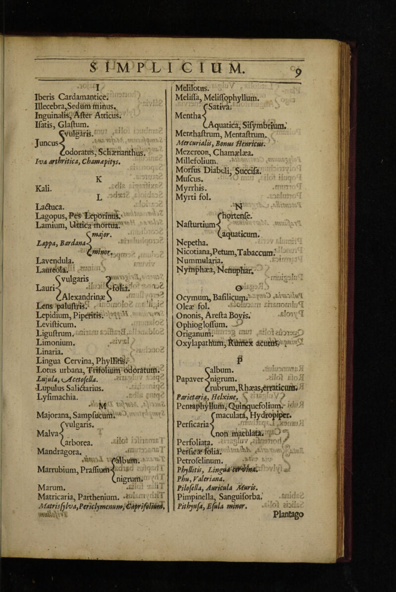 Iberis Cardamantice^ - , Illecebra,Sedum hiinus. Inguinalis!, After Atticus. . Ifatis, Glaftum. Cvulpris/^--'' .d *' Juncus< codoratus; SchSnanthus. ^ Iva arthritica, Chamapitys, V»S,IVh , uV V K 1'• i -/ 1 • ^ * i' .* Kali. f - *> % #vi * a\j .r.di^* t-ir*'-r-rr/r £ .>dxlr. ■ La(5luca. Lagopus, ^e'S liepbrintiS Lamium, Umca'^bb^lKta'^^^'' ’ Cmajor, V ' S Lajfpa, Bardam< Lavendula. . , . LaurTOla.^'* C vulgaris '' u'-’. Lauri^ •>''■'5''Vfolia;''* ■ cAlexandrinae^ L<ns'paluftris? ^f Lepidium, Pip^tis;*A'’\V*’^ ' ' Levifticum. : .i loc Liguftrum. ^^ Limonium. Linaria. - Lingua Cervina, PhyllitfeT;/ Lotus urbana, TrifoliuWbdoratumi^ LujuU, i^cetofella. f ' •Lupulus Salidtarius. Lyfimachia. Majorana, Sampfucui^\‘^‘‘'^''' (■vulgaris. Malva< ^ (.arborea. Jdfoi i iiunmp. Mandragora. ,rn.''tTy;.nr.l Marrubium, Prallluili^^^^^''^ i .nigrum.' ^ Marum. -dii Matricaria, Parthenium. .'i fuiT Afatrisfylva,PericlymemmjSiprifilfihil, Melilotus. ‘ *• Meliffa, MelilTophyllum. ^ ^ .a-^Sati^r^ Mentha< (.Aquatica^ Sifymbriutn.' Menthaftrum, Mentaftrum. Mercurialis, Bonus tienricus, ‘ '' Mezereon, Chamjel^ea. Millefolium. -^V :: Moffus DiabclL SuccifkV ^ Mufeus. • ' . ' ■ Myrrhis. Myrti fol. ' iirjQ .frr'''-;’ - -*:'infrr‘r 'N' . ,5 .’A\br,'. Nafturtium V - Laquaticum Nepetha. Nicotiana,Petum,Tabaccum.- ^ ^ Nummularia. . j- Nyffl|>hxa,NejiupKar;--'/ -. _ T ^ • OPlL-J/i.) Ocymum, Bafilicumr*^'f'”‘^^ Olese fol. .'It j:hx;norn[rjn! Ononis, Arefta Bovis* Ophiogloflum. ^ Origanum/ OxylapathtoyteJrrick I* Calbum. .aujfjinoffrH Papaver<nigrum. -^dol s:lo}I C>^ubrum,Rh3eaSjbriat:icurtr#'^ Parietaria, Helxine. C Pentaphyllum, Q^ii^uefolium> Tmaculatil, Hydrobipcr. Perficaria< ^nqrJ,x^rinj;i (non hiaetilat»7'1^^ ^ Perfoliata. .ciais^JV ,2teTiod/ Peflk^-feli^;* Petrofelinum. ^ \ Phyllttis, Lingid’t^^hAV^^^'‘i^ J Phu, Valeriana, Pilo fella, Auricula Muris, Pimpinella, Sanguiforba.’ .Enidcd Pithyufa,£fula miner, ^ ibiLy Platilago