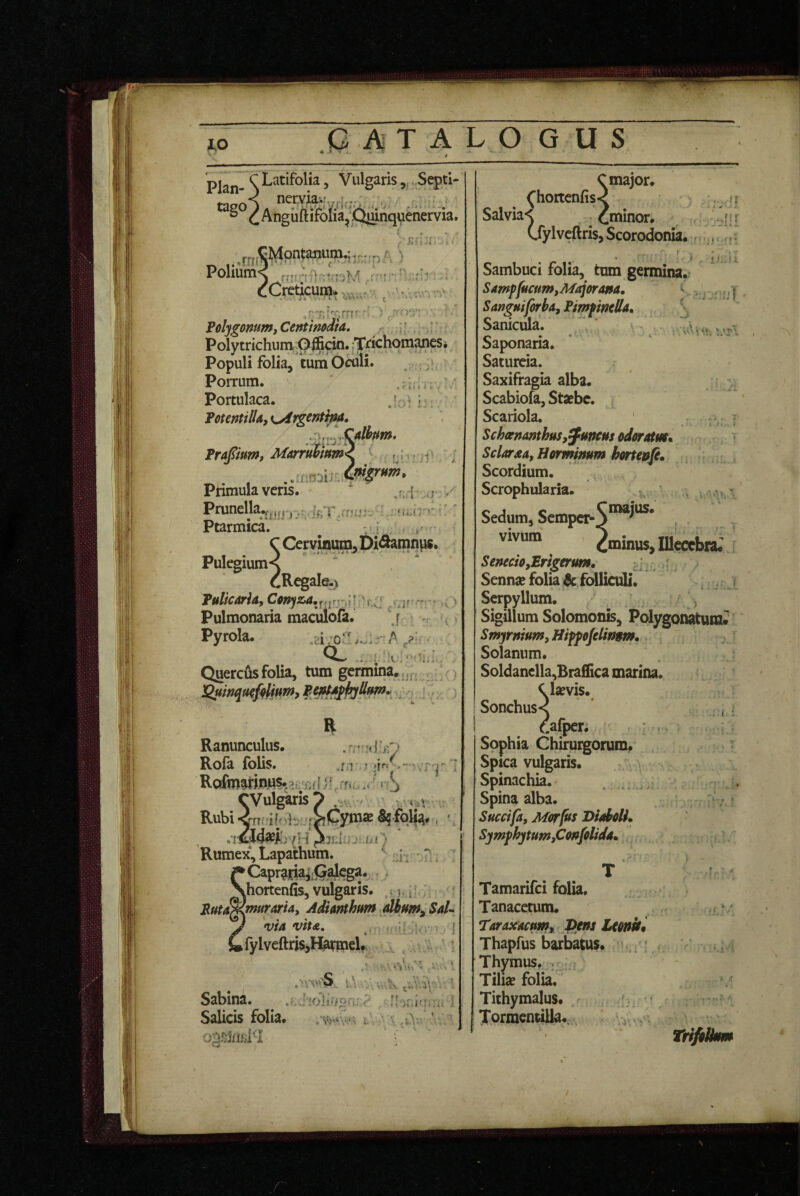 Plan- S 5 Vulgaris „. Septi- ner,via., ^ (^AnguftiiToiia^^XJiiinquchervia, Polium< -r-r-^' ■•- cCreticum^vv '■' fyr ,vw^rTr- Polygonum, Centimdta, Poly trichuniOffipo. iTrichomaneSi Populi fblia, tum Porrum. Portulaca. PomtilU, ^Argcntim. . t * * i i 1:. .‘-U' Prafium, Marru^mm< r: ,1 ^ Primula veris. ,'.:i .>r >' Prunella,j,„., ,, i^T.ftiijj- Ptarmica. ^ vj r ^ C Cervinum, Di^amnps. Pulegium^ CR^alfli, PulkArh,Conyz,a,j,^fr-;A 1 Pulmonaria maculofa. \i ; >r , Pyrola. .li/OvS..:- CL : Querelis folia, tum germina.‘,ir, ‘^: ; > Ranunculus. Rofa folis. ui nJ ■ f - .;a Roim^rinws^^yiff CVulgarisp .-iv w Rubi -irrr-if; S?fol^. , Rumex, Lapathum. /' SCapr^]ria^;(jalega. , horteniis, vulgaris. < 5 *. muraria, Adhnthum dbjtm^ SaU J 'via vita, (s fy IveftriSjH^inel.. •» !! I t,', ■'■■' <■ ‘ n Sabina. ..*loli-ior Salicis folia. opfriniiM oni-'.,*- v. \ r;f!' r . r. r l .. LOGUS C major. (“hortenfis^c Salvia< eminor. CfylveftrisjScorodonia. r - * ’ 1 ’ 15p Sambuci folia, tum germina. Sampfucum,Majorana, v. v j , ^, ] S anguiforba,Ptmpmlla, Sanicula.  ' , Saponaria. Saturcia. Saxifragia alba. Scabiofa, Stsebe. Scariola. Schaenanthus,juncus odoratm. Sclarxa, Hominum hortenfi, Scordium. Scrophularia. Sedum, Semper-S”^^^* vivum 2®inus, Illecebra#^ Senecio,Erigerum» l '.. Sennae folia & folliculi. , Serpyllum. ^ Sigillum Solomonis, Polygonatum* Smyrnium, Hippofelinum» Solanum. Soldanella,Brai!ica marina. Clsevis. Sonchus^ earper. Sophia Chirurgorum. Spica vulgaris. Spinachia. Spina alba. Succifa, Morfus DiabolL Symphytum,Confolida» .,,1 Tamarifci folia, Tanacetum. Taraxacum, J)ens Lmk% Thapfus barbatus. ’ , * Thymus, . Tilise folia. Tithymalus. TormentiUa. .■r * ■A • TrifiUm