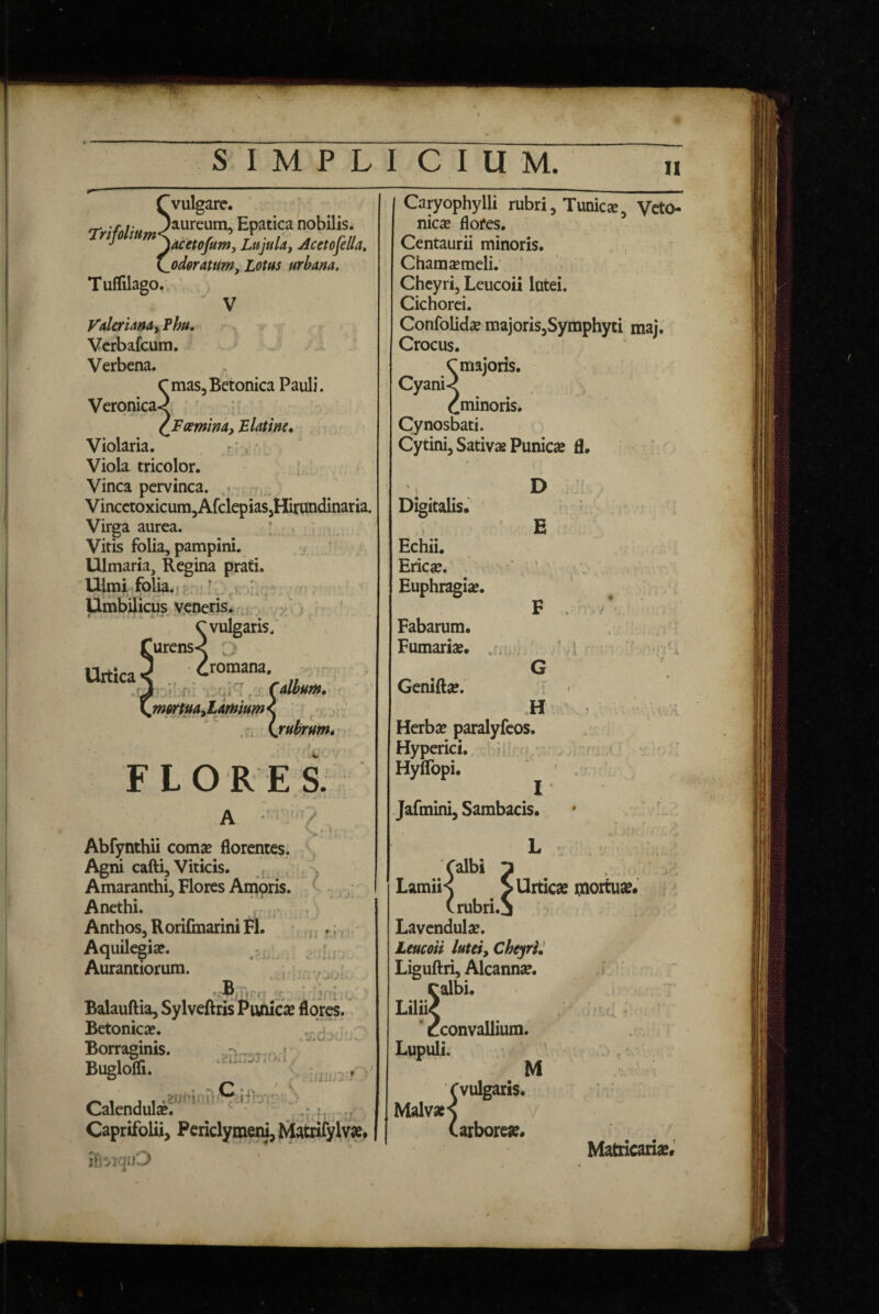 SIMPLICIUM. II Tvulgare. ' rr' r i'. jaureum. Epatica nobilis. Trtmtum< „ r r ' a . nt ■’ Jacetofum, Lujula, Acetojella, K^odsratum, Lotus urbana. Tuflilago. ^ V ValerianayThu. Vcrbafcum. .. 1 . Verbena. C mas. Betonica Pauli. Vcronica^, (^F (emina, Llatine, > ' Violaria. , . Viola tricolor. . { Vincapervinca. Vincctoxicum,Arclepias,Hirundinaria. Virga aurea. ! . Vitis folia, pampini. j Ulmaria, Regina prati. Ulmi folia.fe.:i: ^ ' Umbilicus veneris.,. y ) * ’ evulgaris/ ;urens< O Cromana, ,yj^vi .j Calbum» m6rtua,tamium\ \rubrum. Urtica FLORES. A Abfynthii comsc florentes. \ Agni cafti. Viticis. i Amaranthi, Flores Amoris. Anethi. .v Anthos, Rorifmarini Fl. ,,. .;, ' Aquilceiaf. . . r , Aurantiorum. _ B ^ - Balauftia, Sylveftris Punica flores. Betonicae. -od Borraginis. r * Bugloffi. ; iiji.n-' Calendula?. , ;? Caprifolii, Periclymeni, Matnfylv». jftviqn'3 Caryophylli rubri. Tunicae, Veto- nic^ flores. Centaurii minoris. , Chamaemeli. Cheyri, Leucoii lutei. Cichorei. Confolidae majoris,Symphyti maj. Crocus. C majoris. Cyani< ^minoris. Cynosbati. Cytini, Sativae Punica? fl. D H Digitalis. Echii. Ericae. Euphragiae. F Fabarum. Furnariae. G Geniftae. ' H Herbae paralyfeos. Hyperici. ' Hyflbpi. Jafmini, Sambacis. L 'V (albi y Lamiis SUrti (rubri.S Urtica? mortua?. Lavendulae. Leucoii lutei, Cheyri» Liguftri, Alcannae. Calbi. Lilii? ‘ cconvallium. Lupuli. - M (vulgaris. Malva?s (arborea?. . T, Matncaria?.'
