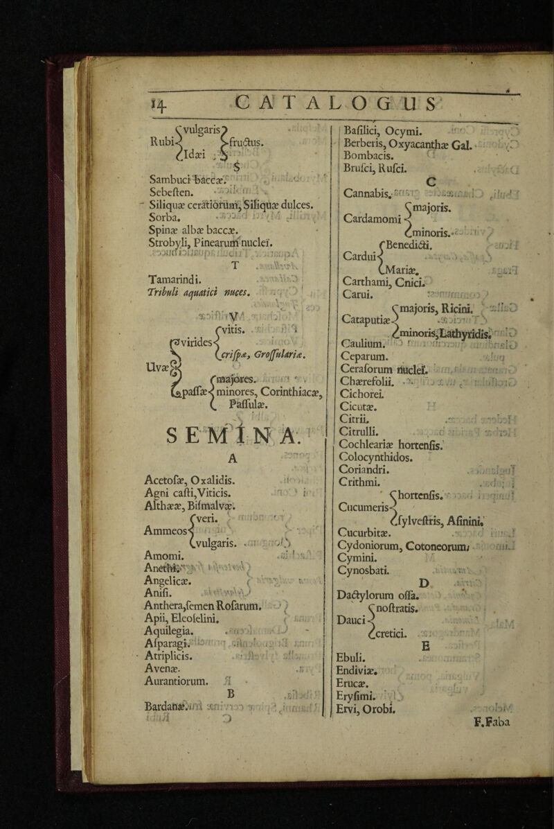 C A' T ALO G U S vulgaris Rubi<^ ^frudns. Idsei • C' ' Sambuci 'baccx7 Sebeften. •j> jiU. 11: Siliquae ceratiorum, Siliquse dulces. Sorba. n. /jA Spinae albje baccje. Strobyji, Pinearuitf nuclei’. T : Tamarindi. . y . Tribuli aquatici nuces, -^wfT) ■ '  *C,' V' ; ^\>y ' r \ t.- i rvitis. pvirides*^ ' fu;oV \ Gyojfularia, '6 ^paffse AtJajbres. i: r ♦ » ^ , < minores, Corinthiaca, (. Paiful^. ■i: 2. s EMINA. 'A Acetofae, Oxalidis. Agni cafti,Viticis. Afthaese, Bifmalvae. fveri. * Ammeoss ^ Cvulgaris. • : Amomi. AnetM^-Kl r.r } Angelicae. Anifi. Anthera,femen Rofarum.'' * >) Apii, Elcolelini. ( ^ Aquilegia. .* <t r-f ' U Afparagi.-i^^^r^-L'.iL.‘f. u Lf . • Atriplicis. .«iJh Avente. Aurantiorum. fl • B Bardans^iM icnivr r: • t ^ ' D . ,f . f» • Bafilici, Ocymi. Berberis, Oxyacanthae Gal. ‘ - Bombacis. ‘ * Brufci, Rufci. C Cannabis.-. ^majoris. Cardamomi / Vi r ■ • TBenedi Cardui < (.Mariae, minoris.-- ' Benedidi. ' X •,0^ *.**>» X^' -.f-r j Carthami, Cnici.^ Carui. ^ C majoris. Ricini, l CataputiaeJiy’ ■  . 4minoris,Lathyridis^' Caulium.' - f i vryjy-'- . ^r^lci Ceparum. Cerafbrum fiuclei^' • - ^ Chaerefolii. • v x ..j Cichorei. Cicutae. I Citrii. Citrulli. . c Cochlearia hortcnfis.' Colocynthidos. Coriandri. . Crithmi. ' Chortcnfis. ■ ^ i Cucumeris<N cfylveftris, Afininu Cucurbitae. Cydoniorum, Cotoneorum/ Cymini. Cynosbati. 'Jf' ' i ■jJ : -f l', > ■ ■ H ■ail.i Dadtylorura ofla. ^noftratis. D Dauci Ji cretici. Ebuli. Endiviae. Erucse, Eryfimi. Ij Ervi, Orobi. j t' f.Faba