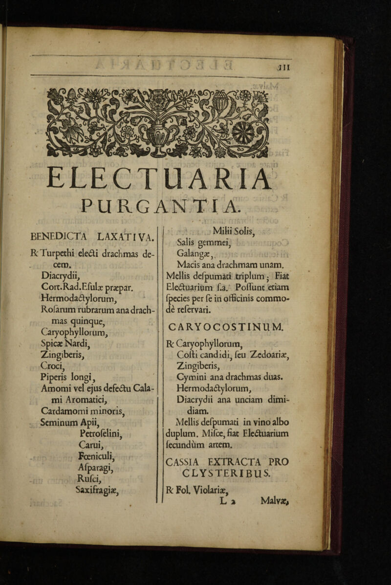 PURGANTIA. BENEDICTA LAXATIVA. RTurpethi eledi drachmas de¬ cem. Diacrydii, Cort.Rad.Efulx prsepar. Hermodadylorum, Rofarum rubrarum ana drach¬ mas quinque, Caryophyllorum, Spicae Nardi, Zingiberis, Croci, Piperis longi, Amomi vel ejus dcfedu Cala¬ mi Aromatici, Cardamomi minoris. Seminum Apii, Pctrofelini, Carui, Foeniculi, Afparagi, Rufei, Saxifragiae, A Milii Solis, ^ Salis gemmei, / Galangae,, Macis ana drachmam unam. Mellis defpumaci triplum • Fiat Eleduarium f.a. Poflunt etiam fpecies per fe in officinis commo¬ de refervari. CARYOCOSTINUM. R Caryophyllorum, Cofti candidi, feu Zcdoariae, Zingiberis, Cymini ana drachmas duas. Hermodadylorum, Diacrydii ana unciam dimi¬ diam. Mellis defpumati in vino albo ' duplum. Mirce,fiat Eleduarium fecundum arcem. CASSIA EXTRACTA PRO CLYSTERIBUS. R Fol. Violariae, L % Malvae^