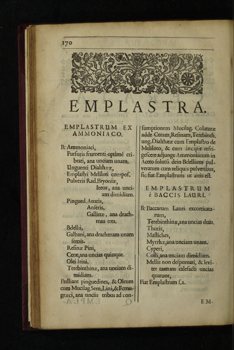 jyo E M P L A S TRA. EMPLASTRUM EX AMMONIACO. Bc Aramoniaci, Furfuris frumenti optime cri¬ brati, ana unciam unam. Unguenti Dialthsese, Emplaftri Meliloti compof. Pulveris Rad.Bryonice, Ireos, ana unci¬ am dimidiam. Pingued. Anatis, Anferis, ' Gallinx , ana drach¬ mas tres. Bdellii, Galbani, ana drachmam unam femis. Refinae Pini, Cerae,ana uncias quinque. ’ Olei Irini, Terebinthinae, ana unciam di¬ midiam. Bulliant pinguedines, & Oleum cum Mucilag.Sem.Lini^&Foenu- graeci, ana unciis tribus ad con^ fumptionem IVIucilag. Colatura: adde Ceram,Re(inam,Terebinth. ung.Dialthaeae cum Emplaftro de Meliloto, & cum incipit refri- gefccrc adjunge Ammoniacum in Aceto folutu dein Bdellium pul- veratum cum reliquis pulveribus, fic fiat Emplaftrum ut artis eft. EMPLASTRUM e BACCIS LAURE R Baccarum Lauri, excorticata- ,rum, Terebinthin3e,anauncias duas. Thuris, Maftiches, Myrrhx,ana unciam unam. Cyperi, CotT:i,ana unciam dimidiam. Mellis non de/pumati, 8c levi¬ ter tantum calefadti uncias quatuor, Fiat Emplaftrum Ea. EM-