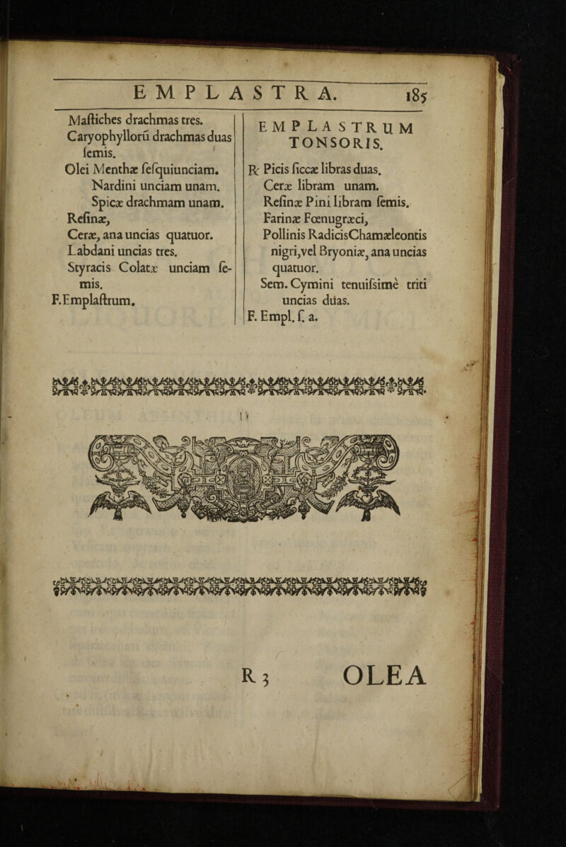 JVIaftiches drachmas tres. Caryophylloru drachmas duas lemis. ^ Olei Menthae felquiunciam. Nardini unciam unam. Spicae drachmam unam. Refinae, Cerae, ana uncias quatuor. Labdani uncias tres. Styracis Colatae unciam le¬ mis. F.Emplaftrum. emplastrum TONSORIS. R Picis ficcae libras duas. Cerae libram unam. Refinae Pini libram lemis. Farinae Foenugraeci, Pollinis RadicisChamaeleontis nigri,vel Bryoniae, ana uncias quatuor. Sem. Cymini tenuifsime triti uncias diias. F. Empl. C a. f. OLEA