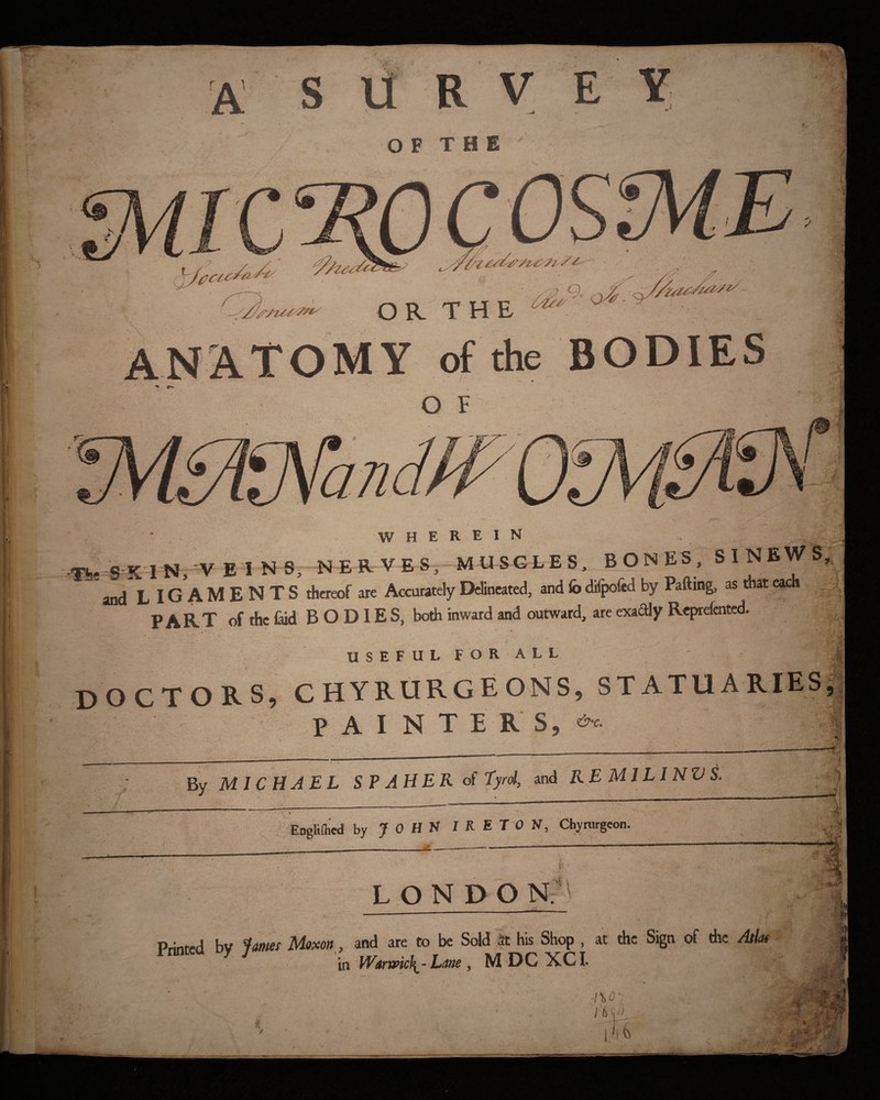 o F T H E V ^ r^ OR. THE O F / ✓ ✓ ' ^ BODIES WHEREIN .. ^ « E«. V ES- M USGLE S. B^N ES. S I NEW S; and L I G*A M E N T S thereof are Accurately Delineated, and lb difpfed by Patting, as that each part of the 1^ BODIES, both inward and outward, are exadly RefMrefented. USEFUL FORALL doctors? chyrurgeons, statuaries P A I N T £ R S5 By MICHAEL SP AHER of Eyrd, and RE MILINV S. \ Engliflicd by JOHN I KET 0 N, Chyrurgeon. ■ 1 ri| 51 L O N D O Nr\ Printed Moxon and are to be Sold it his Shop , at the Sign of the /Eh in W<urtvk\-Little , M DC XC I. no‘i I 6 »<K