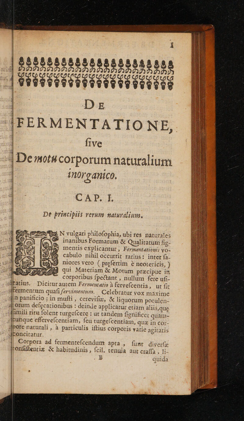 e Y joe . IÍ- P — a — m ————————— 52555558 XIIIIIIIE] Drs |FERMENTATIONE, i , ec Sob d»G Sco» eina-sqob e) 6G 30» 9j «5 50» eG eG doo SUP : 1 «5 SG» «0G S0» o 4^ ar serm Dar ii a mic | five | Demotu corporum naturalium ] 1norgantco. ; De principiis verum natalium. 4 qoem N vulgari philofophia, ubi res naturates inanibus Formarum &amp; Qualitatum fig- mentis explicantur, Fermentation; vo- cabulo nihil occurtit rarius: inter fa. niores Vero ( prefertim &amp; neotericis, ) m 7. qui Materiam &amp; Motum precipue im j; Mets corporibus fpectant , nullum fere ufi- aMEatius. Diciturautem Ferzentatio àfervefcentia, ut fit ifermentum quafi fzrvimentum. | Celebratur vox maxime jh panificio : in mufti, cerevifiz, &amp; liquorum potulen- i orum defecationibus : deinde applicatur etiam aliisque j| pu ritu folent turgefcere : ut tandem finificec quam- 4 franque effervefcentiam, feu turgefcentiam, quz in cor- j]pore naturali , à particulis iftius corporis varie agitatis droncitatur. || Corpora ad fermentefcendum apta , funt diverfz Honfifentig &amp; habitudinis , fcil. tenuia aut craffa , 1i- . p quida