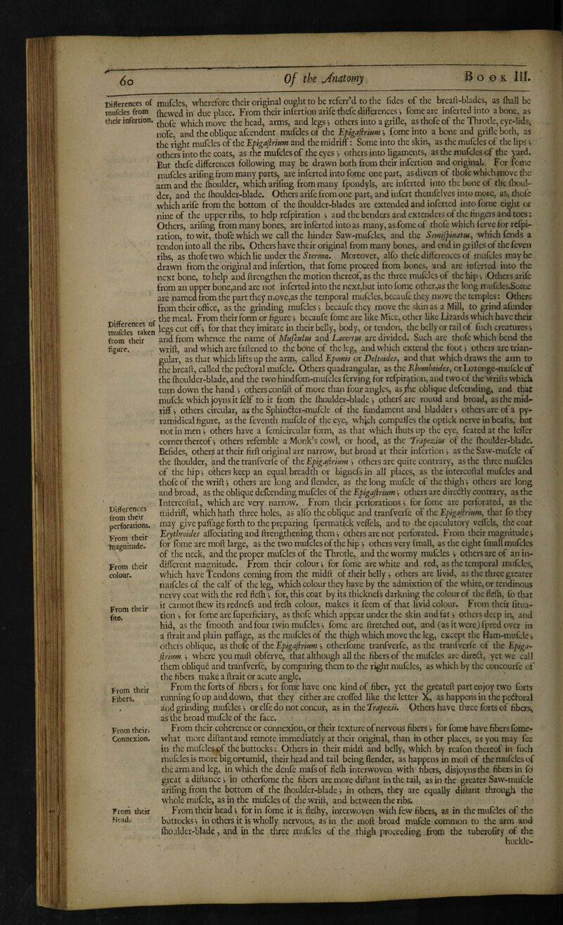 Differences of mufcks, wherefoi-e their original ought to be referrM to the fides of the breaft-blades, as (hall be raufcles from {Revved in due place. From their infbtion arife thefe differences *, fome are inferted into a bone, as their infertion. which move the head, arms, and legs •, others into a grifle, as thofe of the Throtle, eye-lids, nofe and the oblique afcendent mufcles of the Epigafirium i fome into a bone and grifle both, as the r\ght mufcles of the Epigajirium and the midriff: Some into the skin, as the mufcles of the lips v others into the coats, as the mufcles of the eyes-, others into ligaments, as the mufcles of the yard. But thefe differences following may be drawn both from their infertion and origiiial. For feme mufcles arifing from many parts, are inferted into fome one part, as divers of thole which move the arm and the Ihouldcr, which arifing from many fpondyls, are inferted into the bone of the (boul¬ der, and the Ihoulder-blade. Others arife from one part, and infert themfelves into more, as^ thofe which arife from the bottom of the flioulder-blades are extended and inferted into fome eight or nine of the upper ribs, to help refpiration and the benders and extenders ofthe fingers and toes; Others, arifing from many bones, are inferted into as many, as fome of thofe which ferve for rclpi- ration, to wit, thofe which we call the hinder Saw-mufcles, and the SemiJpinatMj which fends a tendon into all the ribs. Others have their original from many bones, and end in grilles of the feven ribs, as thofe two which lie under theMoreover, alfo thefe differences of mulcles may be drawn from the original and infertion, that fome proceed from bones, and are infbted into the next bone, to help and ftrengthen the motion thereof, as the three mufcles of the hip Others arife from an upper bone,and are not inferted into the next,but into fome pther,as the long mufclcs.Some are named from the part they iTiOve,as the temporal mufcles, becaufe they move the temples: Others from their office, as the grinding mufcles becaufe they move the skin as a Mill, to grind afunder- the meal. From their form or figure s becaufe fome are like Mice, other like Lizards \yhich have their SujfdeT^tSien imitate in their belly, body, or tendon, the belly or tail of fuch creatures *, from their ^nd from whence the name of Mufculus and Lacertus are divided. Such are thofe which bend the figure. wrift, and which are faflened to the bone of the leg, and which extend the foot ^ others are trian¬ gular, as that which lifts up the arm, called Epomis or Deltoides^ and that which draws the ann to the breaft, called the pedoral mufclc. Others quadrangular, as the Khomboides^ or Loienge-mufcle of the ffioulder-blade, and the two hindfom-mufcles ferving for refpiration, and two of the wrifts which turn down the hand ^ others confifl of more than four angles, a^e oblique defeending, and that mufcle which joyns it lelf to it from the ftioulder-blade i others are round and broad, as the mid¬ riff others circular, as the Sphind:er-mufcle of the fundament and bladder •» others are of a py- ramidical figure, as the feventh mufcle of the eye, wh jeh compaffes the optick nerve in beafts, but not in men i others have a femicircular form, as that which Ihuts up the eye, feated at the leffer corner thereof i others refemble a Monk’s cowl, or hood, as the T'rapezm of the ihoulder-blade. Befides, other^ at their firft original are narrow, but broad at their infertion i as the Saw-mufcle of the Ihoulder, a^d the tranfverle of the Epigajirium i others are quite contrary, as the three mufcles of the hip-, oriierskeep an equal breadth or bignefsin all places, as the intercoftal mufcles and thofe of the wrift j others are long and flender, as the long mufcle of the thigh -, others are long and broad, as the oblique defeending mufcles of the Epigafirium -, others are diredtly contrary, as the ' , , Intercoftal, which are very narrow. From their perforations i for fome are perforated, as the ' midriff', which hath three holes, as alfo the oblique and tranfverle of the Epigajirium^ that fo they perforations, tnay give palTage forth to the preparing fpermatick veffels, and to the ejaculatory veffels, the coat From their Erythroides affociating and ftrengthening them-, others are not perforated. From their magnitude i for fome are moft large, as the two mufcles of the hip -, others very fmall, as the eight fmall mufcles of the neck, and the proper mufcles of the Throtle, and the wormy mufcles i others are of an in¬ different magnitude. From their colour j for fome are white and red, as the temporal mulcles, which have Tendons coming from the midft of their belly i others are livid, as the three greater mufcles of the calf of the leg, which colour they have by the admixtion of the white, or tendinous nervy coat with the red flelh -, for, this coat by its thicknefs darkning the colour of the flefti, fo that it cannot ihew itsrednefs and frelh colour, makes it leem of that livid colour. From their fitua- tion i for fome are fuperficiary, as thofo which appear under the skin and fatothers deep in, and hid, as the fmooth and four twin mufcles fome are ftretchedout, and (as it were) fpred over in a ftrait and plain paffage, as the mufcles of the thigh which move the leg, except tlie Ham-mufde > others oblique, as thofo of the Epigajirium •> otherfome tranfverfe, as the tranfverfe of the Epiga¬ jirium where you muft obferve, that although all the fibers of the mufcles are dired, yet we call them oblique and tranfverfe, by comparing them to the right mufcles, as which by the concourfe of the fibers make a ftrait or acute angle. From the forts of fibers-, for fonte have one kind of fiber, yet the greateft part enjoy two forts running fo up and down, that they either are croffed like the letter X, as happens in the pedoral and grinding mufcles -, or elfo do not concur, as in the T’rapeziu Others have three forts of fibers, as the broad mufcle of the face. From their coherence or connexion, or their texture of nervous fibers -, for fome have fibers fome- what more diftantand remote immediately at their original, than in other places, as you may foe in the mufolesi)f the buttocks; Others in their midft and belly, which by reafon thereof in fuch imifolesis morebigorlumid, their head and tail being flender, as happens in moft of the mufcles of the arm and leg, in which the denfo mafsof flefti interwoven with fibers, disjoynsthe fibers in fo great a diftance i in otherfome the fibers are more diftant in the tail, as in the greater Saw-mufcle arifing from the bottom of the Ihoulder-blade i in others, they are equally diftant through the whole mufcle, as in the mufcles of the wrift, and between the ribs. From their head j for in fome it is fleffiy, interwoven with few fibers, as in the mufcles of the buttocks-, in others it is wholly nervous, as in the moft broad mufcle common to the arm and Ihoalder-blade, and in the three mufcles of tiie thigh proceeding from the tuberofity of the huckle- tnagnitude. From their colour. From their fite. From their Fibers. From theiri Connexion. From their Head.