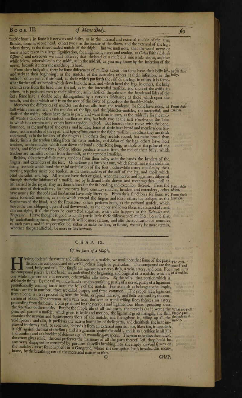 Book III. of Mans Body, ■ ~ ^ ... ' ,  . ^ - ■ -- I- -- - - iiuckle bone ^ in fome it is nervous and flefliy, as in the internal and external mufcle of the arm. Befides, fome have one head, others two i as the bender of the elbow, and the external of the leg v others three, as the three-headed mufcle of thHhigh, But we muftnote, that the word nerve or Tinew is here taken in a large fignification, for a ligament, nerve and tendon, as Galen faith (Lik de Ojjibufh) and moreover we muft obferve, that the head of a mufcle is one while above, another while below, otherwhiles in the midft, as in the midriff, as you may know by the infertion of the nerve, becaufe it enters the mufcle by its head. Fi;om their belly alfo, there be fome differences of mufcles taken •, for fome have their belly i^- Frmn their mediately at their beginning, as the mufcles of the buttocks *, others at their infertion, as the belly, midriff i otheryuft at their head, as thofe which put forth the calf of the leg ^ mothers it is fome7 what further off, as ih thofe which draw back the arm, and which bend the leg i in others, the belly extends even from the head unto the tail, as in the intercoftal mufcles, and thofe of the’wrift •, in others, it is produced even to their infertion, as in thofe of the palms of the hands and foies of the feet-, fome have a double belly diftinguilhed by a nervous fubftance-, as thofe which open the mouth, and thofe which a rife from the root of the lower of procefs of the Ihoulder-blade. .• Moreover the differences of mufcles are drawn alfo from the tendons, for fome have none, at From their leaft which are manifeft, a§ the mufcles of the lips, and the fphindter-mufcles, the intercoftal, and tendons, thofe of the wrift others have them in part, and want them in part, as the midriff j for the’mid- riff wants a tendon at the ends of the fhorter ribsj but hath two at the hrft Vertebra of the loins in which it is terminated i others have a tendon indeed. But fome of thefe move with the bone, fome not, asthemufalesof the eyes i and befides, fome of thefe have broad and membranous ten¬ dons, as the mufcles of the eyes, and Epigrajlium^ except the right mufcles in others they are thick aftd round, as in the benders of the fingers i in others they are lefs round, but more broad than thick, fuchis the tendon arifing from the twin mufcles, and of the leg i others have fhort tendons, as the mufcles which turn down the hand j otherfomq long, as thofe of the palms of the hands, and foies of the feet ^ befides, others produce tendons from the end of their belly, which tendons are manifeft others from the midft, as the temporal mufcles. Befides, alfo others diffufe many tendons from their belly, as in the hands the benders of the fingers, and extenders of the feet. Otherfomc put forth but one, which fometirnes is divided into many, as thofe which bend the third articulation of the footi otherwhile many mufcles by their meeting together make one tendon, as the three mufcles of the calf of the leg, and thofe which bend the cubit and leg. All tendons have their original, when the nerves and ligaments difperfed through thefleftiyfubftanceof amufcle, are by little and little drawn and meet together, until at laft carried to the joynt, they arc there faftned for the fit bending and extenfion thereof. From the From tlicir contrariety of their aeftions ■> for fome parts have contrary mufcles, benders and extenders, other aftion. have none > for the cods and fundament have only lifters up. From their fundfion i for fome are From their made for dired: motions, as thofe which extend the fingers and toes i others for oblique, as the funttion. Supinators of the hand, and the Pronators, others perform both, as the pedroral mufcle, which moves the^ arm obliquely upward and downward, as the upper and lower fibers are edntraded and alfo out-right, if all the fibers be contraded together, which alfo happens to the Deltoides and Trapezius, I have thought it good to handle particularly thefe differences of mufcles, becaufe that by underftanding them, the prognoftick will be more certain, and alfo the application of remedies to each part and if any occafion be, either to make incifion, or future. We may be more certain, whether the part affeded, be more or lefs nervous. CHAP. IX. Of the parts of a Mufcle, HAving declared the natfire and differences of a mufcle, we muft note that feme of the parts y. ^ thereof arc compound and univerfal, others fimple or particular. The compound are the pound°?nd head, belly, and tail. The fimple are ligaments, a nerve, fiefti, a vein, artery, and coat. For fimple parts the compound parts j by the head, we underhand the beginning and original of amufcle, which is ^ one while ligamentous and nervous, otherwhiles alfo fleftiy. By the belly, that portion which is abfolutely fleftiy : By the tail we underhand a tendon confifting partly of a nerve, partly of a ligament forth from the belly of the mufcle. For as much as belongs to the fimple, .• which are fix in number, three are called proper, and three common. The proper are a ligament from a bor^, a nerve proceeding from the brain, or fpinal marrow, and flefti compadf by the con¬ cretion of blood. The common area Vein from the liver or trunk arifing from thence i an artery proceeding from the heart, a coat produced by the nervous and ligamentous fibers fpreading over the fuperpeks of the mufcle. But for the fimple ufe of all fuch parts, the nerve is (as it were) the what ufe each principal prt ot a mufcle, which gives it fenfe and motion, the ligament gives ftrength, the flefti fimple parti- ligamentous fibers of the mufcle, and Rrengthens it, filling up all the defiathin « void fpaces j and alfo, it preferves the native humidity of thefe parts, and cheriftieth the heat im- ™ P conclude, defends it from all external injuries for, like a fan, it oppofeth It felt apinft the heat of the Sun i and is a garment againft the cold i and is as a cuftiiofi in all falls an ruiles •> and as a buckler of defence againft wounding-weapons. The vein noufifhes the mufcle, e artery gives it life, the coat preferves the harmony ot all the parts thereof left theyftiould be any ways disjoyned or corrupted by purulent abfeeffes breaking into the empty or Void fpaces of . e aswefeeithapneth in aGangretie, where the corruption hath invaded this mem- ^ rane, by the breathing out of the more add matter or filth. G CHAP.'