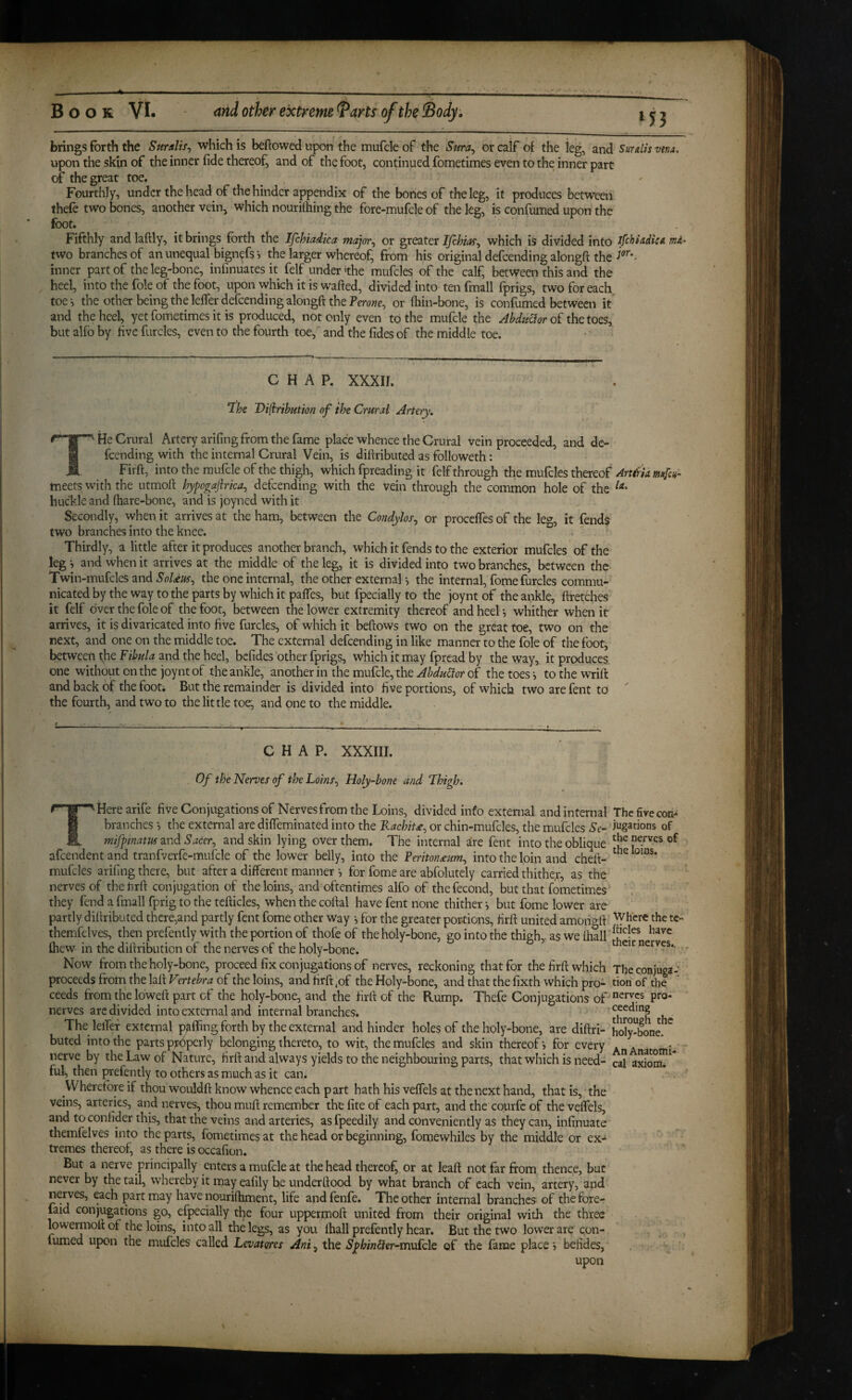 «53 Book VJ* other extreme ^arts of the iBody. brings forth the Suralis^ which is beflowed upon the mufcle of the Sura^ or calf of the leg, and Surdis vtna, upon the skin of the inner fide thereof, and of the foot, continued fometimes even to the inner part of the great toe. Fourthly, under the head of the hinder appendix of the bones of the leg, it produces between thefe two bones, another vein, which nourilhing the fore-mufcle of the leg, is confumed upon the foot. _ . Fifthly and laftly, it brings forth the Ifchiadica or greater Ifchiat^ which is divided into ifchiadicA ma- two branches of an unequal bignefs > the larger whereof, from his original defcending alongft the inner part of the leg-bone, infinuates it felf under the mufcles of the calf, between this and the heel, into the foie of the foot, upon which it is wafted, divided into tenfmall fprigs, two for each toe-, the other being the leflerdefcendingalongft the Feme, or ftiin-bone, is confumed between it and the heel, yet fometimes it is produced, not only even to the mufcle the Abdu&or oi the to^s, but alfb by five furcles, even to the fourth toe, and the fides of the middle toe. CHAP, xxxir. ‘The Vijiribution of the Crural Artery. T He Crural Artery arifing from the fame place whence the Crural vein proceeded, and de- feending with the internal Crural Vein, is diftributed as followeth: Firft, into the mufcle of the thigh, which fpreading it felf through the mufcles thereof Art^iia. mufcn^ meets with the utmoft hypogajirka^ defeending with the vein through the common hole of the buckle and ftiare-bone, and is joyned with it Secondly, when it arrives at the ham, between the Condylos^ or procelfcs of the leg, it fends two branches into the knee. Thirdly, a little after it produces another branch, which it fends to the exterior mufcles of the leg and when it arrives at the middle of the leg, it is divided into two branches, between the Twin-mukk^^nd SoUus^ the one internal, the other external-, the internal, fome furcles commu¬ nicated by the way to the parts by which it pafles, but fpecially to the joynt of the ankle, ftretches it felf over the foie of the foot, between the lower extremity thereof and heel -, whither when it arrives, it is divaricated into five furcles, of which it beftows two on the great toe, two on the next, and one on the middle toe. The external defeending in like manner to the foie of the foot, between t,he Fibula and the heel, befides other fprigs, which it may fpread by the way, it produces one without on the joynt of theankTe,~ another in the mufcle, the AbduSioroi the toes-, to the wrift and back of the foot; But the remainder is divided into five portions, of which two are fent to the fourth, and two to the little toe, and one to the middle. CHAP. XXXIII. Of the Nerves of the Loins^ Holy-bone and Thigh. THerearife five Conjugations of Nerves from the Loins, divided info external and internal The fire con-* branches -, the external are diffeminated into the Kachit£^ or chin-mufcles, the mufcles Se- iugations of mifptnamzndSacer^ and skin lying over them. The internal are fent into the oblique afeendent and tranfoerfe-mufcle of the lower belly, into the Periton£um^ into the loin and cheft- mufcles arifing there, but after a different manner -, for fome are abfolutely carried thither, as the nerves of the firft conjugation of the loins, and oftentimes alfo of thefecond, but that fometimes they fend a fmall fprig to the tefticles, when the coftal have fent none thither i but fome lower are partly diftributed thcre,and partly fent fome other way -, for the greater por4:ions, firft united amongft Where the te- themfclves, then prefenlly with the portion of thofe of the holy-bone, go into the thigh,, as we ihall ^ ftiew in the diftribution of the nerves of the holy-bone. ^ nerves., Now from the holy-bone, proceed fix conjugations of nerves, reckoning that for the firft which Theconjuga-' proceeds from the laft Vertebra of the loins, and firft ;of the Holy-bone, and that the fixth which pro- tion of the ceeds from the loweft part of the holy-bone, and the firft of the Rump. Thefe Conjugations of'pro- nerves arc divided into external and internal branches. The lelTef external puffing forth by the external and hinder holes of the holy-bone, are diftri- holy^bone. buted into the parts pfopcrly belonging thereto, to wit, the mufcles and skin thereof i for every . . • nerve by the Law of Nature, firft and always yields to the neighbouring parts, that which is need- cal axfom; ful, then prefently to others as much as it can. Wherefore if thou wouldft know whence each part hath his veffels at the next hand, that is, 'the veins, arteries, and nerves, thou muft remember thefiteof each part, and the courfc of thevelfels, and to conlider this, that the veins and arteries, as fpeedily and conveniently as they can, infinuate themfelves into the parts, fometimes at the head or beginning, fomewhiles by the middle or ex-‘ tremes thereof, as there is occafion. But a nerve principally enters a mufcle at the head thereof, or at leaft not far from thence, but never by the tail, whereby it may eafily be underftood by what branch of each vein, artery, and nerves, each part may have nouriftiment, life and fenfe. The other internal branches of the fore- laid conjugations go, efpecially the four uppermoft united from their original with the three lowerinoft of the loins, into all the legs, as you Ihall prefently hear. But the two lower are con- l fumed upon the mufcles called Levatores Ani^ the SphinSter-mukle of the fame place j befides, ; ■ • upon