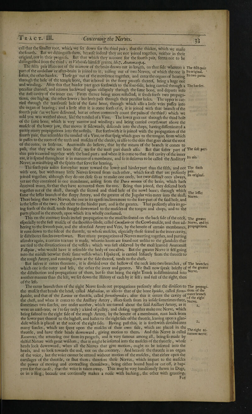 call that the fmaller root, which we fet down for the third pair j that the thicker, which we make the fourth. But wc diriingui(h them, becaufe indeed they are not joined together, neither in their original, not in their progref?. But that which they account for the fourth pair, feems not to be dilhnguiihed from the third •, as Valmrda hirafelf grants, Ub/J, Anatonuca-^.i^, The fifth pair ilTues out of the marrow of the brain drawn out in length, on that fide whereon a The fifrhpair part of the or after-brain is joined to it, arifing out of two Nerves, of which the one is original. ' ibfter, the other harder. Thefe go out of the membrane together, and enter the organs of hearing P^*^^** through the hole of the temple bone, that is bored in the fiony ^rocefs thereof, being a large one and winding. After this that, harder part goes forthwith to the fore-fide, being carried through a The harder, peculiar channel, and returns backward again obliquely through the fame bone, and departs into the firft cavity of the inner ear. From thence being more refledled, it fends forth two propaga¬ tions, one higher, the other lower, but both pafs through their peculiar holes. The upper is car¬ ried through the tranfverfe hole of the fame bone, through which alfo a little vein paffes into the organ oi hearings and a little after it is come forth of it, it is joined with that branch of the fourth pair fas we have delivered, but as others commonly count the pairs of the third) which wc told you was writhed about, like the tendrel of a Vine. The lower goes out through the third hole of the fame bone, which is very narrow and winding s and being carried overthwart above the mufclcof the lower jaw, that moves it fidewards, defeends into the chops, having dilfeminated a pretty many propagations into the noftriis. But forthwith it is joined with the propagation of the fourth pair, that refembles the tendrel of a Vine, or that fprig which goes to the tongue, from which it pafles to the roots of the teeth and mufcles of the cheeks, as alfo to the skin that goes about the root of the outer, or little car. Anatomifts do believe, that by the means of the branch it comes to pafs, that they who are born deaf, are for the moft part dumb alfo. But that fofter part of The fofc part, this pair is carried together with the hard parts and when it is come to that firft cavity of the inner ear, it is fpread throughout it in manner of a membrane, and fo it deferves to be called the Auditory Nerve, as miniftring all the fpirits that ferve for hearing. ^ The fixth pair ariles fomewhat more toward the lowefand hinder part than the fifth, and not The fixth with one, but with many little Nerves fevered from each other, which for all that are prefently . joined together, although they do not dole fo as to make one onely, but twm diftind: ones always, . yet are they contained in one membrane, arifing from the T>ura tnminx of the brain, which hath deceived many, fo that they have accounted them for one. Being thus joined, they defeend both together out oi the skull, through the fecond and third hole of the nowl bone s through which J fame the lefter branch of the fleepy Artery, and the greater of the Jugular vein enter into the skull. Ncrye^, There being then two Nerves, the one in its egrefs inclines more to the fore-part of the faid hole, and is the leffer of the two s the other to the hinder part, and is the greater. That prefently after its go¬ ing forth of the skull, tends ftraight downward to the mufcles of the tongue and chops, and to the parts placed in the mouth, upon which it is wholly confumed. This on the contrary fends its firft propagation to the muftles feated on the back fide of the neck. The greater efpecially to the firft mufcle of the ftioulder-blade, called CucuHam or theCowl-mufcle, and then ad- Nerve, and its Bering to the feventh pair, and the aforefaid Artery and Vein, by the benefit of certain membranes, it runs down to the fide of the throttle, to whofe mufcles, efpecially thofei feated in the inner cavity, it diftributes furcles overthwart. Here many propagations of Nerves meeting together, and parting afunder again, a certain texture is made, wherein knots are found not unlike to the glandules that are tied to the divarications of theveftels^ which was firft obferved by the moft learned Anatomift Fallopm^ who would have it relemble the body of one alive. But the greater Nerve it felf going into the middle betwixt thofe fame veftels which I fpakeof, is carried leifurely from the throttle to the rough Artery, and running down at the fide thereof, tends to the cheft. But before it enters thereinto, it is divided over the hollow of the neck into two branches, of The branches which one is the outer and lefs, the other the inner and greater. We ftiall now fpeak briefly of greater the diftribution and propagations of them, butfo that being the right Trunk is dilfeminated into another manner than the left, we fet down the Hiftory of each by it felf i and firft of the right, then of the left. The outer branch then of the right Nerve fends out propagations prefently after the divifionto The propaga- the mufcle that bends the head, called Mafioidem^ as alfo to that of ^e bone hyoides^ called Jhrno- dons of the hyoides^ and that of the Larinx or throttle, called jiernothyroidesafter this it enters the cavity the cheft, and when it comes to the Axillary Artery , iflues forth from its infide fometimes three, Nerve. ^ fometimes two furcles, one under another, which are turned about the faid Axillary Artery, as it j. were an axel-tree, or (to fay truly) a kind of pulley, and clofing together make one Nerve, which being faftned to the right fide of the rough Artery, by the benefit of a membrane, runs back from the lower part thereof to the higheft, and haftes to the right fide of the throttle, leaning upon a glan¬ dule which is placed at the root of the right fide. Having paft this, it is forthwith divided intoi many furcles, which are fpent upon the mufcles of their own fide, which are placed in the . . throttle, and have their heads downward, giving motion to them. And this Nerve is called Reenrrens^ the returning one from its progrefs, and is very famous among all, being fo made by skilful Nature with great wifdom, that it might be inferted into the mufcles of the throttle, whofe heads look downward, when all the Nerves that give motion, ought to be inferted into the heads, and to look towards the end, not on the contrary. And becaule the throttle is an organ of the voice, but the voice cannot be uttered without motion of the mufcles, that either open the cartilages of the throttle, or (hut themi therefore thefe Nerves, which impart to the mufcles the power of moving and contracting themfelves, being either bound hard or cut off, it hap¬ pens for that caufe, that the voice is taken away. This may be very handfomely (hewn in Dogs, or in a Hog, becaufe one continually makes a noile with barking,/the other with grunting*