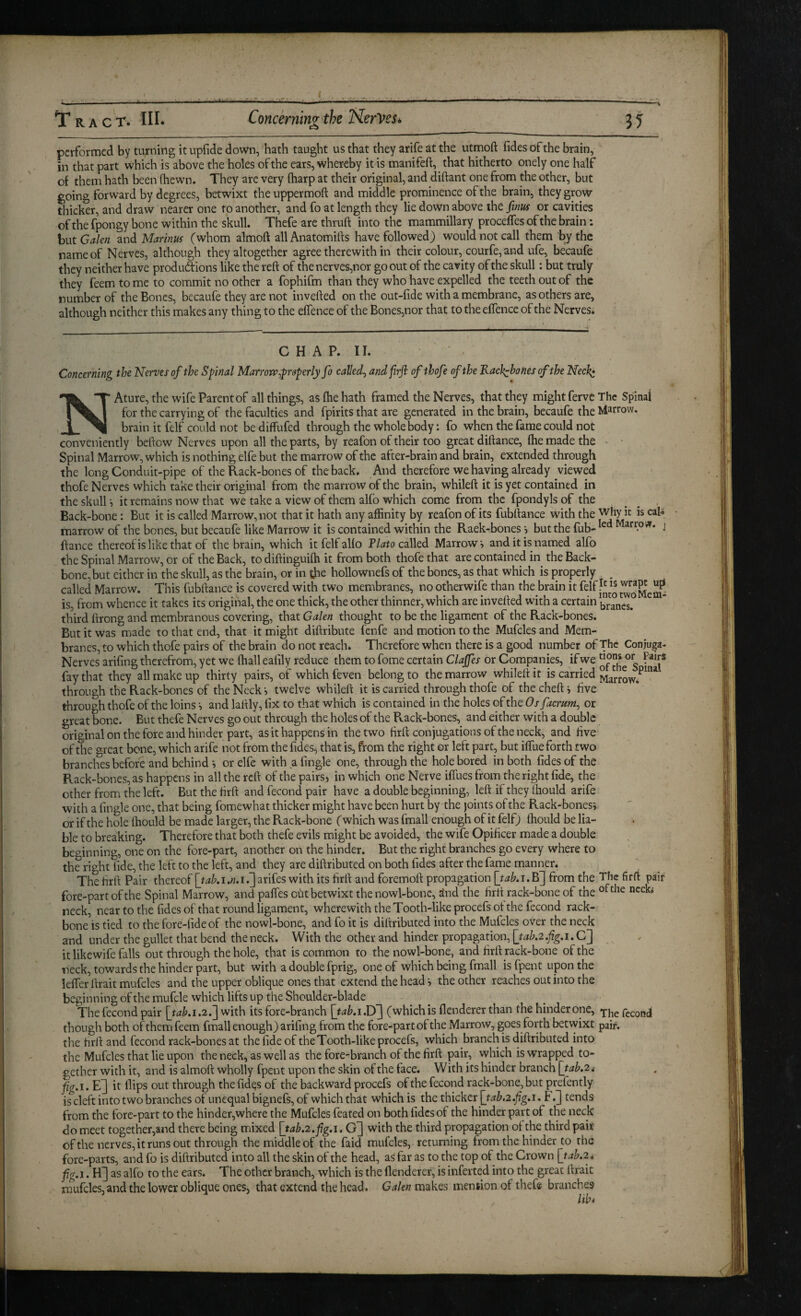 if ‘ >'r -,/ RAC T. III. Concerning the NerVeSi 35 performed by turning it upfide down, hath taught us that they arife at the utmoft fides of the brain, in that part which is above the holes of the ears, whereby it is manifeft, that hitherto onely one half of them hath been (hewn. They are very (harp at their original, and diftant one from the other, but going forward by degrees, betwixt theuppermoft and middle prominence of the brain, they grow thicker, and draw nearer one to another, and fo at length they lie down above the fmus or cavities ohhe fpongy bone within the skull. Thefe are thruft into the mammillary proceffes of the brain: but Galen and Marinus (whom almoft all Anatomifts have followed) would not call them by the name of Nerves, although they altogether agree therewith in their colour, courfe, and ufe, becaufe they neither have produdtions like the reft of thenerves,nor go out of the cavity of the skull: but truly they feem to me to commit no other a fophifm than they who have expelled the teeth out of the number of the Bones, becaufe they are not invefted on the out-fide with a membrane, as others are, although neither this makes any thing to the effence of the Bones,nor that to the effence of the Nerves. C H A P. II. ' Concerning the Nerves of the Spinal Marron> ^properly fo called^ and frft of thofe of the Kacli^hones of the Neck* c NAture, the wife Parent of all things, as fhe hath framed the Nerves, that they might ferve The Spinal for the carrying of the faculties and fpirits that are generated in the brain, becaufe the I»larrow. brain it felf could not be diffufed through the whole body: fo when the fame could not conveniently beftow Nerves upon all the parts, by reafon of their too great diftance, fhe made the • ' Spinal Marrow, which is nothing elfe but the marrow of the after-brain and brain, extended through the long Conduit-pipe of the Rack-bones of the back. And therefore we having already viewed thofe Nerves which take their original from the marrow of the brain, whileft it is yet contained in the skull-, it remains now that we take a view of them alfo which come from the fpondyls of the _ ^ , Back-bone: But it is called Marrow, not that it hath any affinity by reafon of its fubftance with the ' marrow of the bones, but becaufe like Marrow it is contained within the Raek-bonesbut the fub- arroif. j ftance thereofis like that of the brain, which it felf alfo P/<2fo called Marrow, and it is named alfo the Spinal Marrow, or of the Back, to diftinguifti it from both thofe that are contained in the Back¬ bone, but either in the skull, as the brain, or in the hollownefs of the bones, as that which is properly , called Marrow. This fubftance is covered with two membranes, no otherwife than the brain it felf ^oMeuS is, from whence it takes its original, the one thick, the other thinner, which are invefted with a certain third ftrong and membranous covering, that Galen thought to be the ligament of the Rack-bones. But it was made to that end, that it might diftribute fenfe and motion to the Mufcles and Mem¬ branes, to which thofe pairs of the brain do not reach. Therefore when there is a good number of The Conjuga- Nerves arifing therefrom, yet we (hall eafily reduce them to fome certain Clajfes or Companies, if we ^ fay that they all make up thirty pairs, of which feven belong to the marrow whileft it is carried through the Rack-bones of the Nccki twelve whileft it is carried through thofe of the cheft *, five through thofe of the loins -, and laftly, fix to that which is contained in the holes of the Os facrum^ or great bone. But thefe Nerves go out through the holes of the Rack-bones, and either with a double original on the fore and hinder part, as it happens in the two firft conjugations of the neck, and five of the great bone, which arife not from the fides, that is, from the right or left part, but ilTue forth two branches before and behind *, or elfe with a fingle one, through the hole bored in both fides of the Rack-bones, as happens in all the reft of the pairs, in which one Nerve iffues from the right fide, the other from the left. But the firft and fecond pair have a double beginning, left if they Ihould arife with a fingle one, that being fomewhat thicker might have been hurt by the joints of the Rack-bonesi or if the hole ihould be made larger, the Rack-bone (which was fmall enough of it felf) ihould be lia¬ ble to breaking. Therefore that both thefe evils might be avoided, the wife Opificer made a double beginning, one on the fore-part, another on the hinder. But the right branches go every where to the right fide, the left to the left, and they are diftributed on both fides after the fame manner. The firft Pair thereof [tab, i.«. i.] arifes with its firft and foremoft propagation [tab, i. B] from the The firft pair fore-part of the Spinal Marrow, and pafles cut betwixt the nowl-bonc, a'nd the firft rack-bone of the neck, near to the fides of that round ligament, wherewith the Tooth-like procefs ot the fecond rack- bone is tied to the fore-iideof the nowl-bone, and fo it is diftributed into the Mufcles over the neck and under the gullet that bend the neck. With the other and hinder propagation, [tab,2,fig,i, C] it likewife falls out through the hole, that is common to the nowl-bone, and firft rack-bone of the neck, towards the hinder part, but with a double fprig, one of which being fmall is fpent upon the ielfer ftrait mufcles and the upper oblique ones that extend the head the other reaches out into the beginning of the mufcle which lifts up the Shoulder-blade The fecond pair [tab,i,2,'] with its fore-branch [tab,i,D~\ (which is flendererthan the hinder one, fecond though both of them feem fmall enough) arifing from the fore-part of the Marrow, goes forth betvyixt pair, the firft and fecond rack-bones at the fide of the Tooth-like procefs, which branch is diftributed into ^ the Mufcles that lie upon the neck, as well as the fore-branch of the firft pair, which is wrapped to¬ gether with it, and is almoft wholly fpent upon the skin of the face. With its hinder branch [tab,24 fig, I. E3 it dips out through the fidqs of the backward procefs of the fecond rack-bone, but prefently is cleft into two branches of unequal bignefs, of which that which is the thicker [tab.2,jig,i, F tends from the fore-part to the hinder,where the Mufcles feated on both fides of the hinder part of the neck do meet together,and there being mixed [tab,2,fig,i, G] with the third propagation oi the third pair of the nerves, it runs out through the middle of the faid mufcles, returning from the hinder to the fore-parts, and fo is diftributed into all the skin of the head, as far as to the top of the Crown [tab,2, fig,J, as alfo to the ears. The other branch, which is the flenderer, is infeited into the great ftrait mufcles, and the lower oblique ones, that extend the head. Galen makes mention of thefe branches lib*