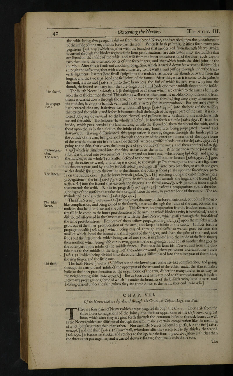 The fourth! Its propaga- tions. Its two bran¬ ches. The outer. The innen The fifth Nerve. The fixth. / Concerning the TSlerVeL T r a c T. Ill, ..- -... I —-- ■' . - . - . -■ — , the cubit, being always equally diftant from the fccond Nerve, and is carried into the protuberation of the inlide of the arm, and the fore-part thereof. When it hath paft this, it iffues forth many pro¬ pagations [taki. 4^] which together with the branches that are derived from the fifth Nerve, which is carried through the hinder region of the fame protuberation, are diftributed into the mufcles that are feated on the infide of the cubit, and arife from the inner protuberation of the arm: fuch are the two that bend the uttermoli bones of the fore-fingers, and that which bends the third joint of the thumb. After this it fends out another propagation, which is carried down between the faid mufcles through the radius together with a vein and artery to the wrift i and paffing through under the tranf- verfe ligament, fcatters fome fmall fprigs into the mufcle that moves the thumb outward from the fingers, and the two that bend the firh joint of the fame. After this, when it is come to the palm of the hand, it is divided [tab.i, x] into three branches i the firft of which fcatters two twigs into the thumb, the fecond as many into the fore-finger, the third fends one to the middle finger on the infide. Thefourth Nerve [tab.2.fig.i.]^']is thebiggeft of all them which are carried to the arm,as being al- moft thrice thicker then the reft.This arifes as well as the other,from the net-like complication,and from thence is carried down through the arm, in like manner as the third is, lying deep every where among the mufcles, having the bafilick Vein and axillary artery for its companions. • But prefently after it hath entered the arm, it derives many, but fmall fprigs into the heads of the mufcles that extend the cubit y and before it is come to half the length of the upper part of the arm, it is con¬ torted obliquely downward to the bone thereof and palTes on betwixt that and the mufcles which extend the cubit. Butbeforeit be wholly refledfed, it fends forth a furclc r] from its infide, which goes betwixt the faid mufcles, as alfb the fecond of them that bend the cubit, and is fpent upon the skin that clothes the inlide of the arm, fome fibres being propagated upward and downward. Having difleminated this mopagation it goes by degrees through the hinder parr to the outfide of the arm, being carried through the cavity of the outer protuberation of the upper bone of the arm that is cut out in the back fide thereof, where likewife it fends out a furcle \jab.2,jig.i. going to the skin, that covers the lower part of the outfide of the arm j and then another 1. 0] which is' diftributed into the skin, as far as to the wrift. After that near to the joint of the cubit it is divided into two branches, an outer and an inner one, which being hid deep, and among the mufcles, as the whole Trunk alfo, defeend to the wrift. The outer branch \_tab.2.fig.i, goes along the radius or wand, and when it is come to the wrift, pafles through the tranfverfe ligament •on the outer part, and by and by isfubdivided mto two branches, of which one goes with a double fprig into the outfide of the thumb, the other is fpent partly upon the fore-finger, part¬ ly on themiddle one. Butthe inner branch ltab.2,fig,i,U'] reaching along the cubit fcatters more propagations i the firft {tah.2 .fig,i. ^3 i«fo the firft nrufcle that extends the fingers, the fecond [tah, 2»fig,i. into the fecond that extends the fingers j the third \jab.2,fig.i0'^~\ into the inner mqfcle that extends the wrift. But in its progrefs it affords propagations to the thr^e be¬ ginnings of the mufcles that take their original from the ulna^ or greater bone of the cubit. .The re¬ mainder of it ends in the wrift, 1.313 The fifth Nerve ^ab.i0num.^2jj arihng lower than any of the fore-mentioned, out of the fame net- like complication, and being joined to the fourth, defeends through the infide of the arm, bet ween the mufcles that bend and extend the cubit. This fcatters no propagation from it felf, but remains en¬ tire till it be come to the inner protuberation of the arm, at whofe hinder cavity it is refleefted,' and is diftributed afterward in the fame manner with the third Nerve, which palTes through the fore-fideof the fame protuberation. For both of them beftow propagations ^tab.i .3 3I upon the mufcles which grow out of the inner protuberation of the arm, and keep the infide of the cubit. It iffues forth a propagation alfo 1.3 4] which being carried through the radius or wand, goes between the mufcles which bend the fecond and third joints of the fingers, and fo to the palm of the hand, and fends out the firft branch, which being parted into two, is implanted into the infide of the little fingery then another, which being alfo cut in two, goes into the ring-finger, and at laft another that goes to the outer part of the infide of the middle finger. But from this fame fifth Nerve, and from the out¬ fide near to the middle of the length of the radius or wand, there grows out a certain other furcle ^jabti .3 which being divided into three brandies is difleminated into the outer-part of the middle, the ring finger, and the little one. The fixth Nerve [tAi.«.3B.] iffues out of the loweft part ofthe net-like complication, and going through the arm-pit and infide of the upper part of the arm and of the cubit, under the skin it makes hafte to the inner protuberation of the upper bone of the arm, difperfing many furcles in its way to the neighbouring skin \jub,i *3 7*3 7*1 foon as it hath attained to this protuberation, it is cleft into many propagations, fbme of which lie under the branches of the bafilick vein, fome lie over, and fo being carried under the skin, when they are come down to the wrift, they end [jab.i .3 8.J CHAP. VIII. Of the Nerves that are diftributed through the Crura, or thighs. Legs, and Feet. THere are four pairs of Nerves which are propagated through the Crura. They arife from the three lower conjugations of the loins, and the four upper ones of the Osfacrum, or great bone, which after they are gone forth through the common holes of the rack-bones as well as the Nerves, which are diftributed through the arm, make a certain complication like the meilhing of a net, but far greater than that other. Nor are thefe Nerves of equal bignefs, but the firft [tab.i, num.a,6f[ and the third [tab.i.d.] are fmall, wherefore alfo they reach but to the thigh •, the fecond [tab. 1.5 o.^ is fomewhat thicker and reaches to the leg, but the fourth [tab. 1.61 .Jalone is thicker than the three other put together, and is carried down as far as to the utmoft ends ofthe toes.