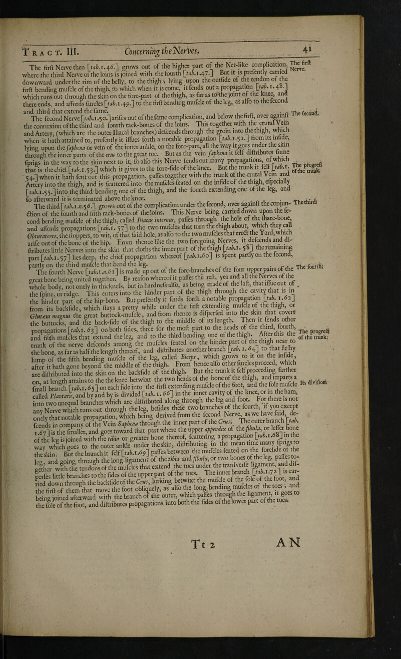 ' The tirft Nerve then Uaki.^O.! grows out of the higher part of the Nct-like complication The fitft where the third Nerve ot the loins is joined with the fourth [taki .47*1 prefcntly carried downward under the rinn of the belly, to the thigh » lying upon the outlide of the tendon or the firft bending tnufcle of the thigh, to which when it is come, it fends out a propagation 4^-J which runs out through the skin on the fore-part of the thigh, as far as to the joint of the knee, and there ends, and affords furcles \jab. i .4^.3 to the firft bending mufclc of the leg, as alfo to the econ The fecond Nerve .50.] arifes out of the fame complication, and below the firft, over againft the connexion of the third and fourth rack-bones of the loins. This together with the crural Vein and Artery, (which are the outer Iliacal branches) defeends through the groin into the thigh, which when it hath attained to, prefently it ilTues forth a notable propagation i.J from its inhdc, lying upon ihefaphena or vein of the inner ankle, on the fore-part,_ all the way it goes under the skin through the inner parts of the crus to the great toe. But as the vein faphena it felf diftributw tome fprigs in the way to the skin next to it, fo alfo this Nerve fends out many propagations, that is the chief [t^^.i.53.] which it gives tothe fore-fide of the knee. But the trunk it felf ' <4.1 when it hath fent out this propagation, paffes together with the trunk of the crural Vein and Artery into the thigh, and is fcattered into the mufcles feated on the infid e of the thigh, elpccia y [t^^.i.55.] into the, third bending one of the thigh, and the fourth extending one of the leg, and (o afterward it is terminated above the knee. , ^ , • n. l • The third [tab.i.n.Ke.l grows out of the complication under thefecond, over againft theconjun- Thetmra. dlion of the tourth and fitth rack-bones of the loins. This Nerve being carried down upon the fe¬ cond bending mufcle of the thigh, called Iliacm interrm^ palfes through the hole of the (hare-bone, and affords propagations [tab.i. 57] tothe twomufcles that turn the thigh abou^ wh^h they call Obntratores, the (toppers, to wit, of that (aid hole, as alfo to the two mufcles that cred the Yard, which arife out of the bone of the hip. From thence like the two foregoing Nervp, it defeends and di- ftributes little Nerves into the skin that cloths the inner part of the thigh Itakl. 5»J the remaining part [tab.i.‘)’j'] lies deep, the chief propagation whereof [tab.i.6oj is fpent partly on the lecond, partly on the third mufcle that bend the leg. , ^ t r • r .u the fourtlii The fourth Nerve is made up out of the fore-branches of the four upper pairs ot^ Tne tou ereat bone being united together. By reafon whereof it pafles the reft yea and a 1 the Ne^es of the whole body, not onely in thicknefs, but in hardnefs alfo, as being made of the laft, that iffue out of ^ the fpinc, or ridge. This enters into the hinder part of the thigh through the cavity that is in the hinder part of the hip-bone. But prefently it fends forth a notable propagation from its baeklide, which flays a pretty while under the firft extending mufcle of the thigh, or Glauus magnut the great buttock-mufcle, and from thence is difperfed into the skin tliat covers the buttocks, and the back-Cde of the thigh to the middle of its ength. Then it fends other propagations [tui.i. £}] on both fides, three for the moft part to the of the ^.rd, fourth and filth mufcles that extend the leg, and to the third bending one of the thig . e trunk; trunk of the nerve defeends among the mufcles feated the bone, as far as half the length thereof, and diftributes another branch Lt-ti. i-^4] lump of the fifth bending mufcle of the leg, called Biceps , which grows to it on the infidc, af”r it hath gone beyond the middle of the thigh. From hence alfo otha futcles proceed, which ' are dillributed into the skin on the baeklide of the thigh. But the trunk it felf pr^eeding farther at length attains to the the knee betwixt the two heads of the bone of the th.glj and imparts a fmk branch [lAi.65] oneachiide into the hrft extendrog mufcle of the foot, and the foie mufd^ cX Ptowrk and by and by is divided [tak i. dd] in the inner cavity of the knee or in the ham into two unequal branches which are diftributed along through the leg and foot. For there is no any Nerve which runs out through the leg, befides thefe two branches of the fourth, if you except onely that notable propagation, which being derived from the fecond Nerve, as we have faid, de- fcenL in company of Ae Vein Supkna through the inner part of the Cmr: The outer branch [(A I d7l is the fmallL, and goes toward that part where the upper appendix of the fibula, or ofthelegisioined with the tito or greater bone thereof, fcattering a propagation [tAi.dS] in the ly vvhihgoes to the outer ankle under the skin, diftribtiting m the 'f{f'f s-u/cUi'n Riit the branch it felf palfes between the mufcles feated on the forelide of the eg and gdng “thi long Ugamen^ of the libia .tii fibula, or two bones of the leg pafles to gedier wfth the tendons ol the mufcles that extend the toes under the tranlVetfe '‘gj Ictfes little branches to the f.des of the upper part of the toes. Themner branch [t^ car fled down through the backfide of the Crus, lurKing betwixt the mufcle of the foie oi jne toot, and ■ the Hrft of them that move the foot obliquely, as alfo the long,bending mufcles of the toes, and belg ohieraferwah^^^^^^^ branch of the outer, which pafles through the ligament it goes to L foie of the foot, and diftributes propagations into both the lides of the lower part of the toes.