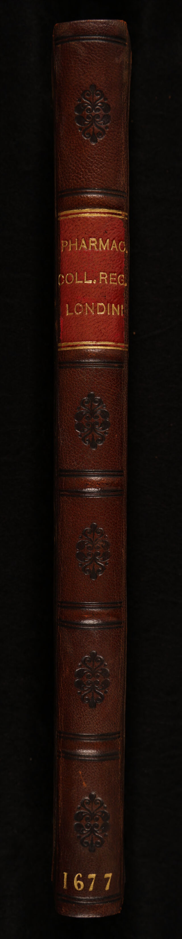 No text description is available for this image