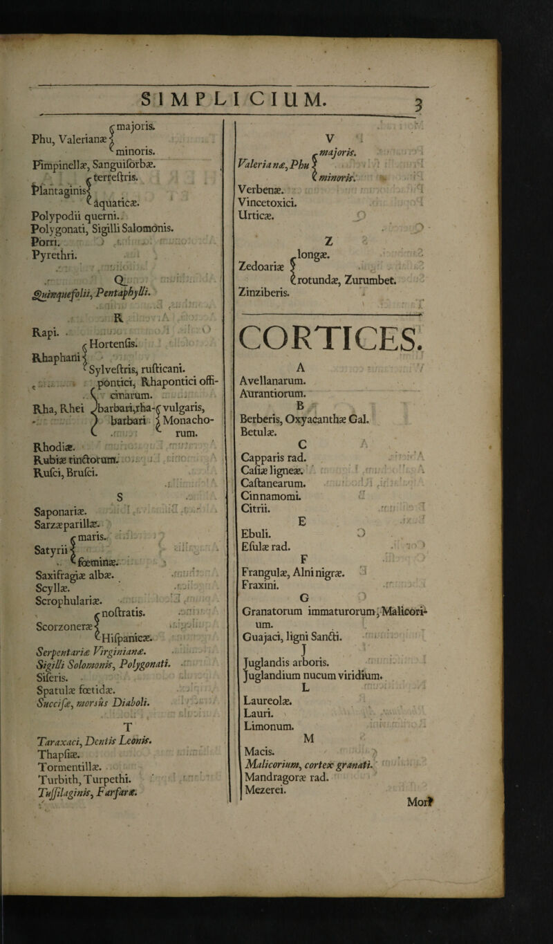 <c majoris. Phu, Valerianas? ^ minoris. Fimpinellae, Sanguiforbae. terreftris. Plantaginis? ^ aquaticae. Polypodii querni.. Polygonati, Sigilli Salomonis. Porri. ' > c •' . Pyrethri. V '1 ~ majoris. Valeria nce0 Phu ? ( minoris. Verbenae. Vincetoxici. Urticae. i ; .F i i. n »'; ?' n Q_ ,•*•;« p * ’. . i w i Quinquefolii^ Pentaphylli, mw R Horteniis. Rapi. . Rhaphani :tr C ‘ Sylveftris, rufticani. pontici, Rhapontici offi¬ cinarum. - Rha, Rhei ^barbari,rha-£ vulgaris, barbari i Monacho- Rhodiae. Rubias tin&orum. Rufci, Brufci. E: rum. f*-. < t »:.• • i. ! f' Saponariae. Sarzaeparillae. r maris. Satyrii ? .. ^foetninae. Saxifragiae albae. Scyllae. Scrophulariae. ^noftratis. Scorzonerae < ^-Hifpanicae. Serpentari£ Virginian<£. Sigilli Solomonis, Polygonati. Siferis. Spatulae foetidae. Succifie, morsus Diaboli. • . _ — i k» i. f T Taraxacij Dentis Leonis. Thapfiae. Tormentillae. Turbith,Turpethi. TuJJilaginis, Farfar<e. cli muri* . Zedoariae Zinziberis. tz [rotunda, Zurumbet. CORTICES. A I Avellanarum. I Aurantiorum. B Berberis, Oxyacanthae Gal. Betulae. e a Capparis rad. A Cafiae ligneae. Caftanearum. I Cinnamomi. Citrii. E I Ebuli. 0 Efulae rad. F Frangulae, Alni nigrae. | Fraxini. G Granatorum immaturorum, Malicori- * um. Guajaci, ligni Santti. j . Juglandis arboris. Juglandium nucum viridium. L Laureolae. Lauri, v Limonum. M Macis. 1 Malicorium, cortex granati. Mandragorae rad. I Mezerei. Morfr 3 i • >