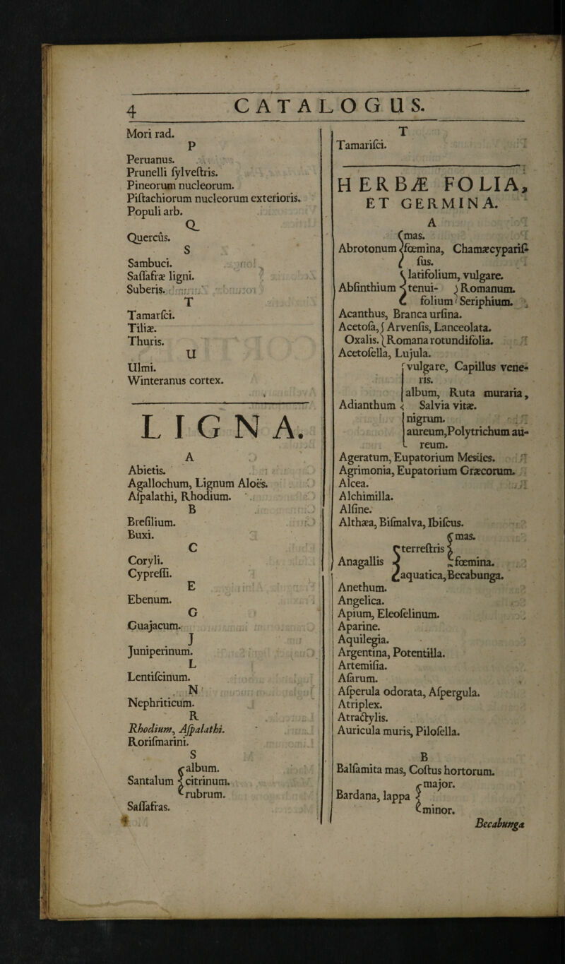 Mori rad. Peruanus. Prunelli lylveltris. Pineorum nucleorum. Piftachiorum nucleorum exterioris. Populi arb. Quercus. CL Sambuci. SalTafra? ligni. Suberis. T Tamarici. Tilise. Thuris. U Ulmi. Winteranus cortex. ■!: ri;j joi LIGNA. A Abietis. Agallochum, Lignum Aloes. Alpalathi, Rhodium. B Brefflium. Buxi. C Coryli. Cypreffi. E Ebenum. C Cuajacum. T • • J Junipermum. L Lentifcinum. ... N Nephriticum. ' R Rhodium, AJpalathi. Rorifmarini. S galbum. Santalum scitrinum. ^rubrum. Saflafras. Tamarilci. H ERBM FOLIA, ET GERMINA. * A ,mas. Abrotonum /fcemina, Chama?cypari£ C lus. latifolium, vulgare. Ablinthium < tenui- ^ Romanum. C folium t Seriphium. Acanthus, Branca urlina. Acetola, j Arvenfis, Lanceolata. Oxalis. | Romana rotundifolia. Acetofella, Lujula. vulgare. Capillus vene¬ ris. album. Ruta muraria, Salvia vita?. Adianthum nigrum. aureum,Polytrichum au¬ reum. Ageratum, Eupatorium Mesiies. Agrimonia, Eupatorium Gracorum. Alcea. ,jj{ Alchimilla. Alline; Althaea, Bilmalva, Ibilcus. £mas. rterreftris i Anagallis 1 ^foemina. ^aquatica, Becabunga. Anethum. Angelica. Apium, Eleolelinum. Aparine. Aquilegia. Argentina, Potentilla. Artemifia. Alarum. Alperula odorata, Afpergula. Atriplex. Atradtylis. Auricula muris, Pilolella. B Ballamita mas. Collus hortorum. ^ major. Bardana, lappa | Eminor. Becabunga. v . .