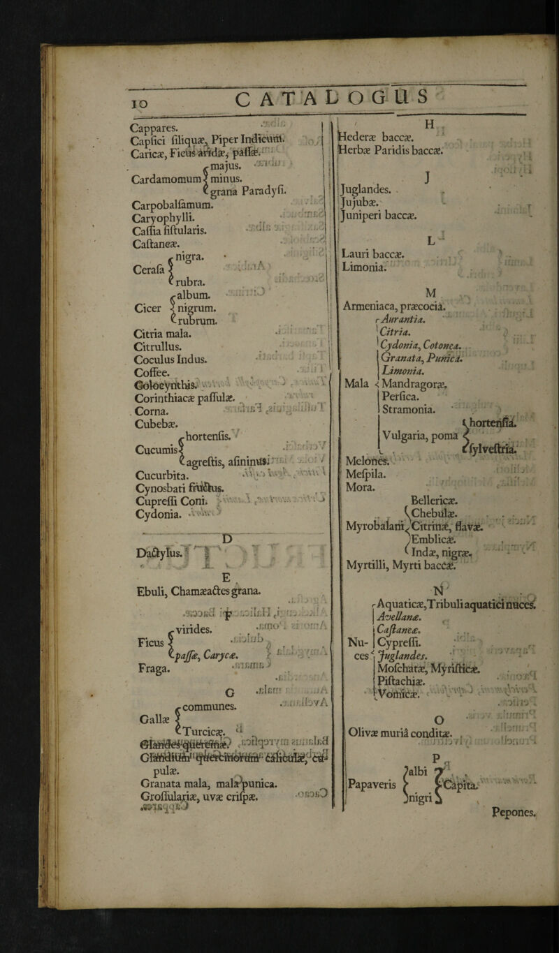 IO .•fcrt i Cappares. Capfici filiquae, Piper Indicuni. Caricae, Ficus aridae, paffe. ^ majus. *'ri::,J Cardamomum J minus. £ grana Paradyfi. Carpobalfamum. Caryophylli. Caffia fiftularis. Caftaneae. H hederae baccae. herbae Paridis baccae. ^ iJ.i .T P mi . i. i* G '■A nigra. ;iA Cl i.;.: . :lO Cerala ^ * rubra. s- album. Cicer J nigrum. £ rubrum. Citria mala. Citrullus. Coculus Indus. Coffee. Colocynthis. Corinthiacae paflulae. Corna. Cubebae. iv-hortenfis. Cucumis ■| Juglandes. Jujubae. i Juniperi bacae. Lauri baccae. Limonia. j M M • » i j )i .. 'V v >7 j ii i i T 7 y/ agreftis, afininu$L ' | Melones. A Mefpila. Cucurbita. Cynosbati ffti&us. Cupreffi Coni. ‘ c' v Cydonia. * Da&ylus. D 3 I 1 JL k. #* Ebuli, Chamaeattes grana. • i. * ^ ■ b .viUOiiJ p yih.Li (K .. - virides. Ficus | ' '■pajfe, Caryc<e. Fraga. ,r/imiik > ..olfiff! . M\ .: iiUfovA G ^ communes. Gallae < tTurcics. “ GLa^MieteVnk/ <«a<p-w;; >.umhA pulse. Granata mala, malajmnica. Grohularise, uvae crilpae. Armeniaca, praecocia. rAurantia. | Citria. Cydonia, Cotonea. Granata, Punica. Limo 7? i a. Mala < Mandragorae. 1 Perfica. Stramonia. ■; r Vulgaria, poma hortenfia. # . ^fylveftria. r )ir! y Mora. Bellericae. *■ • MyrobalanLCitrin#, flavae. yEmblicae. ( Indae, nigrae* Myrtilli, Myrti bacCa*. Aquatica,Tribuli aquatici nuces. Nu- Cajiane£. Cypreffi. ces ^ Juglandes. Mofchatse, Myriffic#. Piftachi#. [Vortiiae. OXCI •. i j • i1’ v. j . . ex c o Olivae muria conditae. . - y-yrn ■. '1,'XpXJ x . olin v r - f T vijinn H [[-Mf -<.T Papaveris Jalbi )mgri A v »• Pepones.