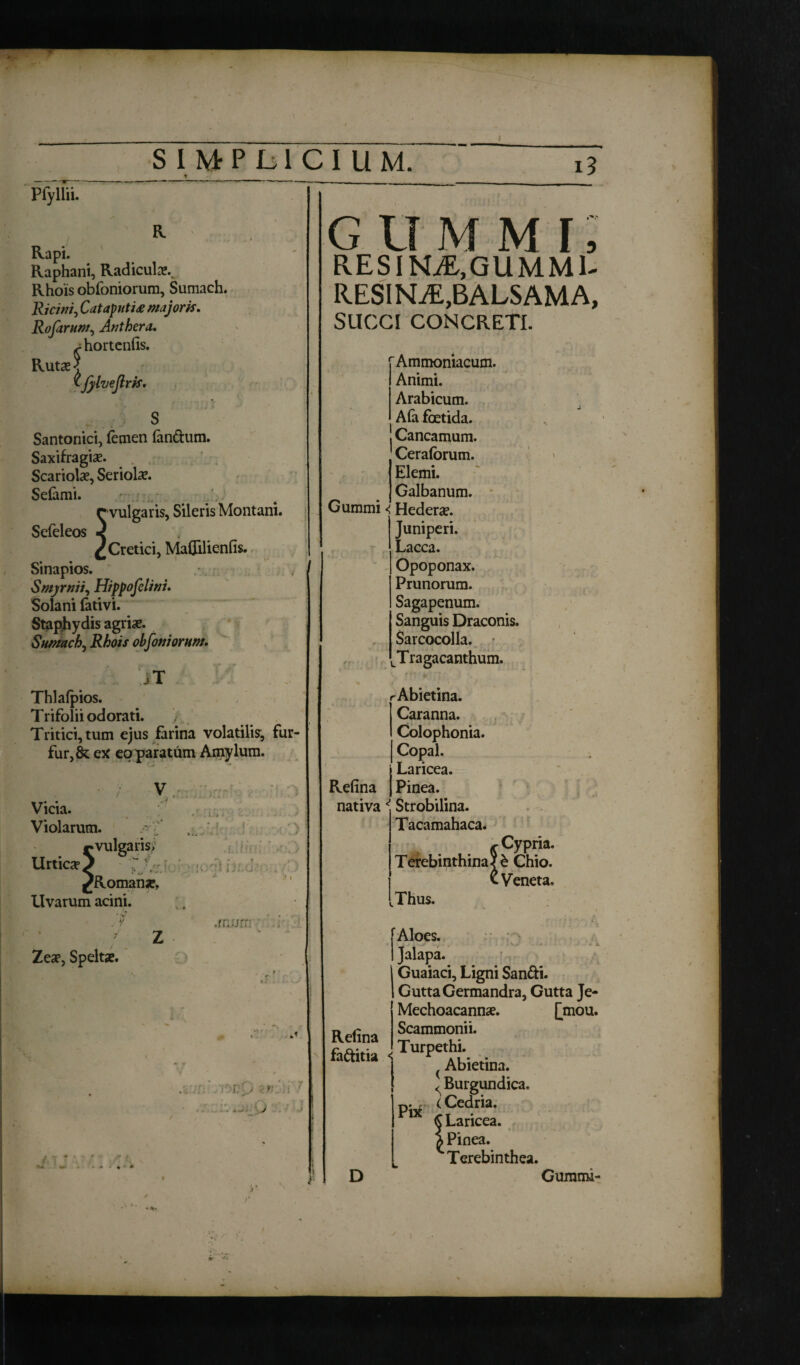 S I Mr P L1 C I U M. Pfyllii. R Rapi. Raphani, Radicula^ Rhois obfoniorum, Sumach. Ricini, Cataputi£ majoris, Rofarum, Anthera, a hortcnfis. Ruts^ <-fyheftrk. Santonici, femen (an&um. Saxifragis. Scariols, Seriols. Seiami. e vulgaris, Sileris Montani. Sefeleos < ^Cretici, MaffUienfis. Sinapios. Smyrnii, Hippofelini, Solani fativi. Staphydis agris. Sumach, Rhois obfoniorum. Thlafpios. Trifolii odorati. Tritici, tum ejus farina volatilis, fur¬ fur,^ ex eo paratum Amylum. Vicia. Violarum. ^vulgaris; Urtics) t v ^Romans, Uvarum acini. Zes, Spelts. • V 4 . - ' A* ■ 1 7 I .rnurn O i: i. *•' • )* : : r J gummi; RESINLE,GUMM1- RESINLE, BALSAMA, SUCCI CONCRETI. rAmmoniacum. Animi. Arabicum. (Afa foetida. Cancamum. Ceraforum. Elemi. Galbanum. Gummi < Heders. Juniperi. Lacca. Opoponax. Prunorum. Sagapenum. Sanguis Draconis. Sarcocolla. Tragacanthum. rAbietina. Caranna. Colophonia. Copal. Laricea. Pinea. Strobilina. Tacamahaca. «r Cypria. Terebinthina? £ Chio. v Veneta. kThus. Refina nativa •n I -} r f Aloes. I Jalapa. Guaiaci, Ligni San&i. Gutta Germandra, Gutta Je- Mechoacanns. £mou. Refina Scammonii. < Burgundica. Pix (Cedria. ' Laricea. i Pinea. 'Terebinthea. D Gumma- i