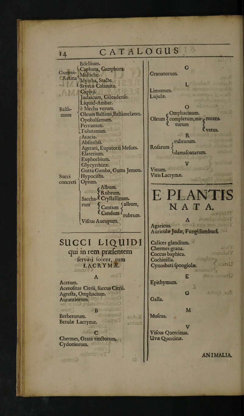 .: ~ • £ S. X ,k * Balfc- mum Bdellium. ^ t Caphura, Camphora. ^cl'na'j,lynha, Sta&e. ^ Styrax Calamita. Capivi. Judaicum, Gileadenfe. Liquid-Ambar. e Mecha verum. 10leum BalfamijBalfamel^on. I OpobaUamum. j Peruanum. LTolutanum. ■Acacia. Abfinthii. Agerati, Eupatorii Medies. Elaterium. Euphorbium. Glycyrrhizx. Gutta Gamba, Gutta Jemou. Hypociftis. Opium. ^ Album. < Rubrum. Saccha-* Cryftallinum. rum ^ Cantum ?lbUm' Candum rubrum. Vifcus Aucupum. Succi concreti SUCCI LIQUIDI qui in rem prsefentem fervari (olent, rum LACRYMjE. f-wS-n A Acetum. Acetofitas Citrii, fuccus Citrii. Agrefta, Omphacium. Aurantiorum. B Berberorum. Betulas Lacryma?. / J l - C Chermes, Grani tin&orurn. Cydoniorum. Granatorum. Limonum. Lujulse. O jrOmphacinum. Oleum 5 completum,ma-^ recens, turum < X vetus. R f rubrarum. Rolarum i tdamafcenarum. Vinum. Vitis Lacrymae. . Ya. \\ >V E PLANTIS NATA. Agaricus. Auricula? Juda?, Fungi Sambuci. Calices glandium. Chermes grana. Coccus baphica. Cochinilla. Cynosbati (pongiol#. ,1 * Epithymum. Galla. Mufcus. E G M iit». * t ■- i w A Vifcus Quercinus. Uvae Quercina?. ANIMALIA.