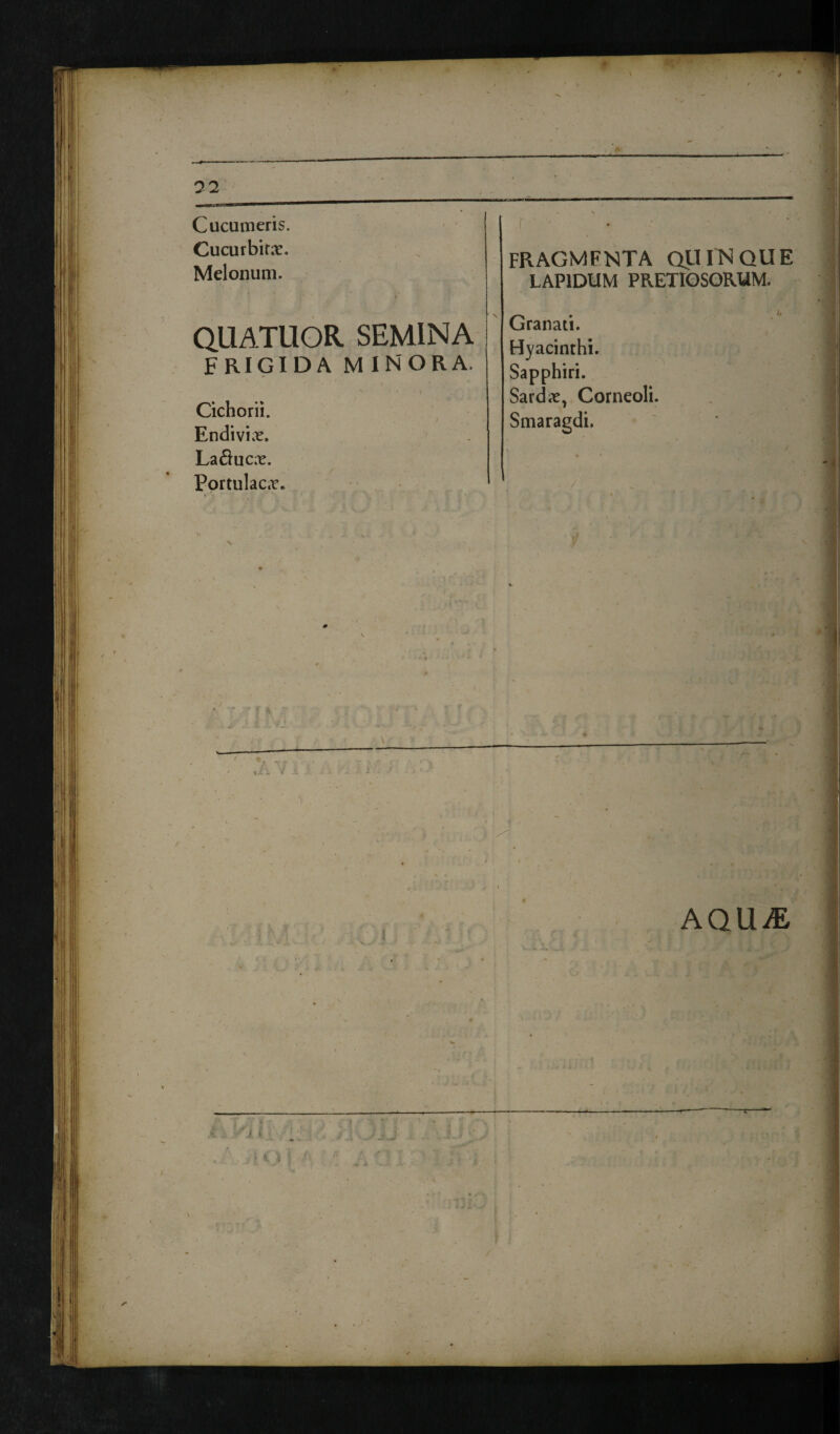Cucumeris. Cucurbita. Melonum. QUATUOR SEMINA FRIGIDA M INORA. Cichorii. Endiviae. Laftucae. Portulacae. FRAGMENTA QUINQUE LAPIDUM PRETIOSORUM. Granati. Hyacinthi. Sapphiri. Sardae, Corneoli. Smaragdi. 0 \ AQUjE
