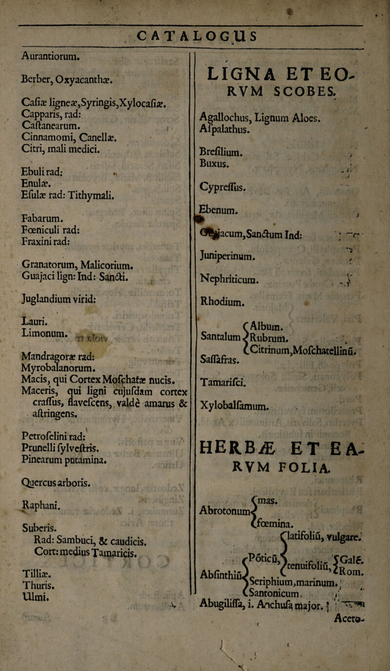 t r CATALOGUS u —■--'— ---, Aurantiorum. Berber, Oxyacanthce ■t Calix lignea?,Syringis,Xylocafia?. Capparis, rad: Caftanearum. Cinnamomi, Canell#. Citri, mali medici. Ebuli rad: .. Enula?. Efuke rad: Tithymali. Fabarum, * ' * 1 • 1 Foemculi rad: Fraxinirad: Granatorum, Malicorium. Guajaci lign: Ind: San&i. Juglandium virid: ■ , , , ’ Sfi ; ; Lauri. Limonum. „ ^ Mandragora* rad: Myrobalanorum. Macis, qui Cortex Mofchafa* nucis. Maceris, qui ligni cujufdam cortex craflus, flavefccns, valde amarus & • aftringens. * • Petrofelini rad: Prunelli fylvcftris. Pinearum putamina. LIGNA ET EO- RVM SCOBES. •4 Agallochus, Lignum Aloes. Afpalathus. Brefilium. , Buxus. 1 • Cyprefliis. Ebenum. * 14 * Opacum,SandumInd: r*- Juniperinum. , * i % Nephriticum. , .. j Rhodium. < Album. Santalum ^Rubrutrt. • l _ CCitrinum,Mofchatellinu< Saflafras. \ ' r Tamarifci. Xyloballamum. HERBjE et ea- RVM FOLIA. Quercus arboris. t Raphani. v'- J wV * i • py. Suberis. Rad: Sambuci, & caudicis. Cort: medius Tamaricis. Tillia?. Thuris. < Ulmi. Abrotonum- mas. .foemina. latifoliu, vulgare.' J. * fP6ticu,T .f ... TGale. \ ^ytenuifohu,}., AbfinthiuA • . iKom- s Seriphium, marinum.' (Santonicum. A Abugilifla, i. Anchufa major. ? ' ^si Aceta-