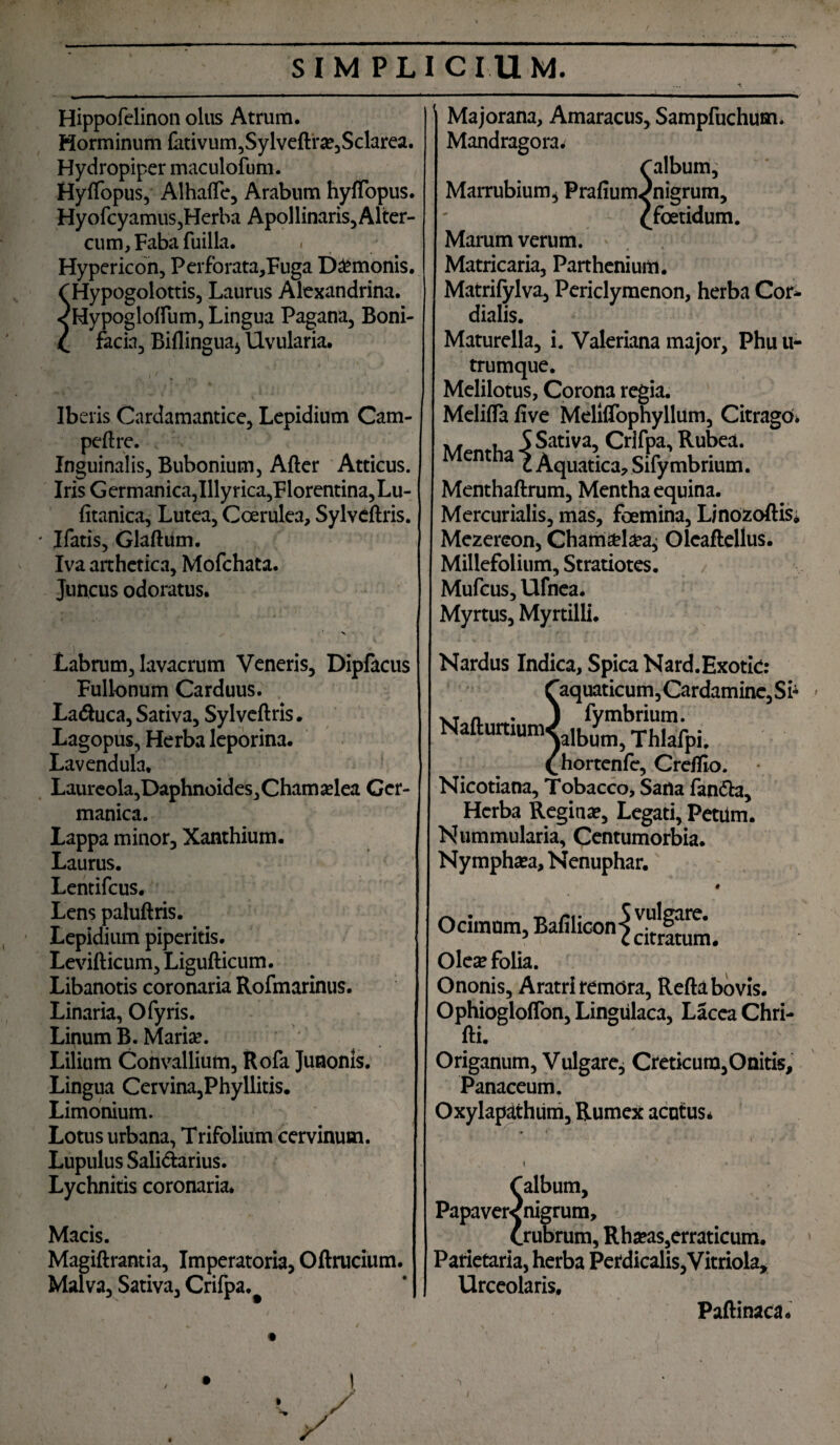 Hippofelinon olus Atrum. Horminum fativum,Sylveftra?,Sclarea. Hydropiper maculofum. Hyflopus, Alhafle, Arabum hyflopus. Hyofcyamus,Herba Apollinaris, Alter- cum,Fabafuilla. . Hypericon, Perforata,Fuga Damonis. Hypogolottis, Laurus Alexandrina. jHypoglofliun, Lingua Pagana, Boni- facia, Biflingua* Uvularia. Iberis Cardamantice, Lepidium Cam- peftre. Inguinalis, Bubonium, After Atticus. Iris Germanica,Illyrica,Florentina,Lu- fitanica, Lutea, Coerulea, Sylvcftris. Ifatis, Glaftum. Iva arthetica, Mofchata. Juncus odoratus. Labrum, lavacrum Veneris, Dipfacus Fullonum Carduus. Laduca, Sativa, Sylvcftris * Lagopus, Herba leporina. Lavendula. Laureola,Daphnoides,Chama?lea Ger¬ manica. Lappa minor, Xanthium. Laurus. Lentifcus. Lens paluftris. Lepidium piperitis. Levifticum, Ligufticum. Libanotis coronaria Rofmarinus. Linaria, Ofyris. Linum B. Maria?. Lilium Convallium, Rofa Junonis. Lingua Cervina,Phyllitis. Limonium. Lotus urbana, Trifolium cervinum. Lupulus Salidarius. Lychnitis coronaria. Macis. Magiftrantia, Imperatoria, Oftrucium. Malva, Sativa, Crifpa.^ Majorana, Amaracus, Sampfuchum. Mandragora^ falbum. Marrubium * Prafium^nigrum, - ^foetidum. Marum verum. Matricaria, Parthenium. Matrifylva, Periclymenon, herba Cor- dialis. Maturella, i. Valeriana major, Phu u- trumque. Melilotus, Corona regia. Melifla five MelUTophyllum, Citrago* x, , S Sativa, Crifpa, Rubea. Mentha Aquatica, Sify mbrium. Menthaftrum, Mentha equina. Mercurialis, mas, foemina, Ljnozoftis* Mezereon, Chamari^aj Olcaftellus. Millefolium, Stratiotes. Mufcus, Ufnea. Myrtus, Myrtilli. Nardus Indica, Spica Nard.Exotic: Caquaticum,Cardamine,Sb (Jiortenfe, Creflio. Nicotiana, Tobacco, Sarta fan&a. Herba Regina?, Legati, Petilm. Nummularia, Centumorbia. Nympha?a, Nenuphar. # Ocimum, Bafilicon^^Jj^^ 5 c citratum. Oles folia. Ononis, Aratri remora, Refta bovis. Ophiogloflbn, Lingulaca, Lacca Chri- fti. Origanum, Vulgare^ Creticum,Onitis, Panaceum. Oxylapathum, Rumex acutus* f album. Papavere nigrum, Crubrum, Rha?as,erraticum. Parietaria, herba Perdicalis,Vitriola, Urceolaris. Paftinaca. / / /