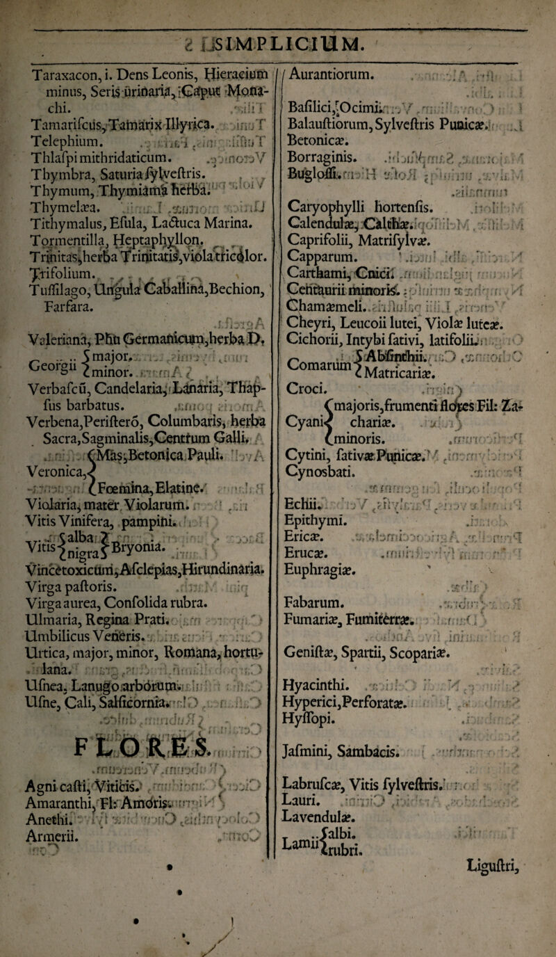 ' ■■■' W 'l uSIMPLICIUM. Jy* 1' J \ ;i 4* Taraxacon, i. Dens Leonis, Hieraciutn minus, Seris uritiaria,:Ga£put Mona¬ chi. 1 Tamariircus> Tamarix Illyrica, sn, T Telephium. . v.ci. in :hfi;jT Thlafpi mithridaticum. Thymbra, SaturiajylrVeftris. Thymum, Thymiami herba.' ! iJ ’>l Thymekra. jjtmi IgutiOL Tithymalus, Efula, La&uca Marina. Tormentilla, Heptaphyllon. ^ y T rinitas^herba Trinitatis,viola trierior. ^Tifolium.. * K. « « Tufiilago, Ungula Gabaliina,Bechion, Farfara. , ■ ■ ,.v. • • ■, .tffeijiA Valeriana, Phn Germanicum,herba D, .... 5 maioi. GcorSu1 minor. _ Verbafcu, Candelaria,f Lanaria, Thap- fus barbatus. ,i:rn«; { ; h n,.' Verbena,Perifter5, Columbaris, herba Sacra, Sagminalis,Gentfutn Galli, CMas;,Betonica Pauli. Veronica,-? <lFcemina,Elatine. ' > V iolaria, mater, V iolarum. ,. i, Vitis Vinifera, pampini, i;, \alba 2 ^ n» «- •• Vitis 2 nigraC Bryonia VincCtoxicuncijAfclepiaSjHirundinaria. Virgapaftoris. r. ; ;r Virga aurea, Confolida rubra. Ulmaria,Regina Prati. ' Umbilicus Veheris. ^ /- ; Urtica, major, minor, Romana, hortu¬ lana. . : Ufnea, Lanugo arbrirunu h; Ufne, tali, SaHicornia.n! D | f r rr * J4})!!*) .IiulTufivi / ^ • V r f r « rr il/ 1. ' 1 FLORES. .rnueitonoY.rnnodr' ) Agnicafti, Vitiiris. r‘■  V t ‘ 1, flJ} t ■ Amaranthi, Fb Amdris* rr? Anethub Armerii. , * I < I .-4 . • • : • rC*il * • • • . **■ • rj*'i » *• \ »■ «vv Aurantiorum. * \ IS* Bafilici,iOcimi; ;. / ': . v > Balauftiorum,Sylveftris Punicee, .a Betonica’. Borraginis. .;ij/ : Buglofli. ; H -Joii ;; i, .eiisfumn Caryophylli hortenfis. : 1 Calendulae, Calthae. Caprifolii, Matrifyivae. Capparum. '.i.: ' Carthami, Cnici; ..t : • Cent&urii minor&; 'lurori sxdqm //; Chamaemeli..ghflulsq c?mrr-/-' Cbeyri, Leucoii lutei. Violae luteae. Cichorii, Intybi fativi, latifolii.; ,i 5 Ab&ichii. -uO <t. Comarum^ Matricariae. Croci. ’ ,h i; A C majoris, frumenti flc^cs Fil: Zar Cyani< chanae. a i \ Lm inoris. Cytini, fativse Punicae. '. . Cynosbati. ■ .rrav '(T > i rf» <* «■ * ■ * jj EcHiL ’ Epithymi. Ericie. A$bmfco< Erucse. Euphragia?. rn rnf *•?t! • , !r / .* ! ^ f v ■ .muni ♦ > i .f -». < i... ».. •, «. Fabarum. Furnariae, Fumiterrae. ? ■' .r dflini. qviI Genift^, Spartii, Scoparie* rf* : 3 i A> ; Hyacinthi. Hyperici,Perforatae. HyiTopi. Jafmini, Sambacis. ■ i . t - ;> 't'f 17';r^ Labrufcae, Vitis fylveftris. ; Lauri. ■ . ; Lavendulae. .Jalbi. .rubri. r J: Lamu^j , > fi i Liguftri, I /