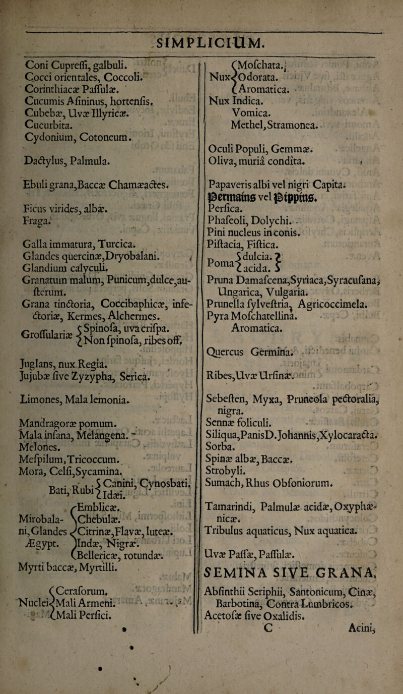 Coni Cuprefli, galbuli. Cocci orientales, Coccoli. Corinthiaca: Pallula?. Cucumis Afininus, hortenfis. Cubeba?, Uva? Illyrica. Cucurbita. * Cydonium, Cotoneum. Da&ylus, Palmula. Ebuli grana,Bacca? Chama?acle$. Ficus virides, alb#. Fraga. * . V * * ’ * Galla immatura. Turcica. Glandes quercina?,DryobaIani. t Glandium calyculi. Granatum malum, Punicum,dulce,au- fterum. Grana tin&oria, Coccibaphica?, infe- dtoria?, Kermes, Alchermes. ^ rr i • CSpinofa, uvacrifpa. Groflulanx ^NPon fpi’nofaj rU£soff; • ***» * ^ Juglans, nux Regia. . ; . Jujuba; five Zyzypha, Serica. Limones, Mala lemonia. “ * » / , , * K ■' f Mandragora pomum. ^lala infana, Melangena. '* Melones. Mefpilum,Tricoccum. Mora, Celfi,Sycamina. . ; t, . -ry , .5 Canini, Cynosbati. Ban,Rubi|Idxi< f(i /Embfica?., ; Mirobala- \Chebula?. ; ni, Glandes ^Citrina?,Flava?, lutea?. ^Egypt. ^Inda?, Nigra?. (Bellerica?, rotunda?. Myrti bacca?, Myrtilli. CCeraforum, Nuclei< Mali Armeni. • x Mali Perfici. /- CMofchata.j Nux«?Odorata. CAromatica. ■ Nux Indica. Vomica. Methel, Stramonea. Oculi Populi, Gemma?. Oliva, muria condita. Papaveris albi vel nigri Capita; ^ermatns vel Appius* Perfin Phafeoli, Dolychi. . Pini nucleus in conis. Piftacia, Fiftica. T-. S dulcia. ? Pomai acida. V Pruna Damafcena,Syriaca,Syracufana, Ungarica, Vulgaria. Prunella fylveftria^ Agricoccimela. Pyra Mofchatellina. Aromatica. ' * r * i -•N i t ' « ^ • ; rv < ■ < Quercus Germina. « « Ribes,Uva?Urfina?. V ... y % v; •  « s . : ) Sebeften, Myxa, Pruneola pettoralia, nigra. Senna? foliculi. Siliqua,PanisD.Johannis,Xylocara<5ta. Sorba. ' > Spina? alba?. Bacae. Strobyli. Sumach,Rhus Obfoniorum. -T » Tamarindi, Palmula? acida?, Oxypha?- nica?* Tribulus aquaticus. Nux aquatica. Uva? Paffa?, Pallula?. SEMINA SIVE GRANA.' Ablinthii Seriphii, Santonicum, Cina?, Barbotina, Contra Lumbricos. Acetofa? five Oxalidis. C Acini*