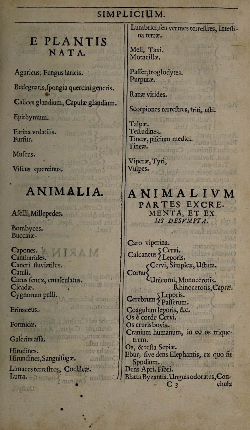 E PLANTIS NATA. Agarieus, Fungus laricis. ' Bedeguaris,fpongia quercini generis. Calices glandium. Capula; glandium. Epithymum. Farina volatilis. Furfur. Mufcus. m 1 * . Vifcus quercinus. ANIMALIA. Afdli, Millepedes. Bombyces. Buccina?- r y Capones. : | Cantharides. Cancri fluviatiles^ Carus fenex, emafculatus. Cicada?. * Cygnorum pulli. , Erinaceus.> Formica?. Lumbrici/eu vermes terreftres., Intefti» na terra?. Galerita afla. r\ ( i f .* / - . tt . • » ■ Hirudines. HirundineSjSanguifuga?. Limaces terreftres, Cochlear. Lutra. ‘ • ■ ' r u i ! ' / Meli, Taxi. Motacilla;. Pafler,troglodyte$. Purpura. Rana; virides. Scorpiones terreftres, triti, ufti. Talpa». ^ Teftudines. Tincte, pifeium medici. Tine te. Vipera, Tyri, Vulpes. ANIM A L I VM PARTES EXCRE¬ MENTA, ET EX JIS DESVMP7A. Caro viperina. . 5 Cervi. Calcaneus |Leporis. r Cervi, Simplex, Uftum. ^Unicorni, Monocerotis. Rhinocerotis,Capra. . 5 Leporis. Cerebrum pa(fcrum. Coagulum leporis, &c. Os e corde Cervi. Os cruris bovis. Cranium humanum, in eo os trique¬ trum. Os, & tefta Sepia;. Ebur, five dens Elephantis, ex quo fit Spodium..- - Dens Apri. Fibri. Blatta Byzantia,Unguis odoratus,Con- - C 3 chula • t